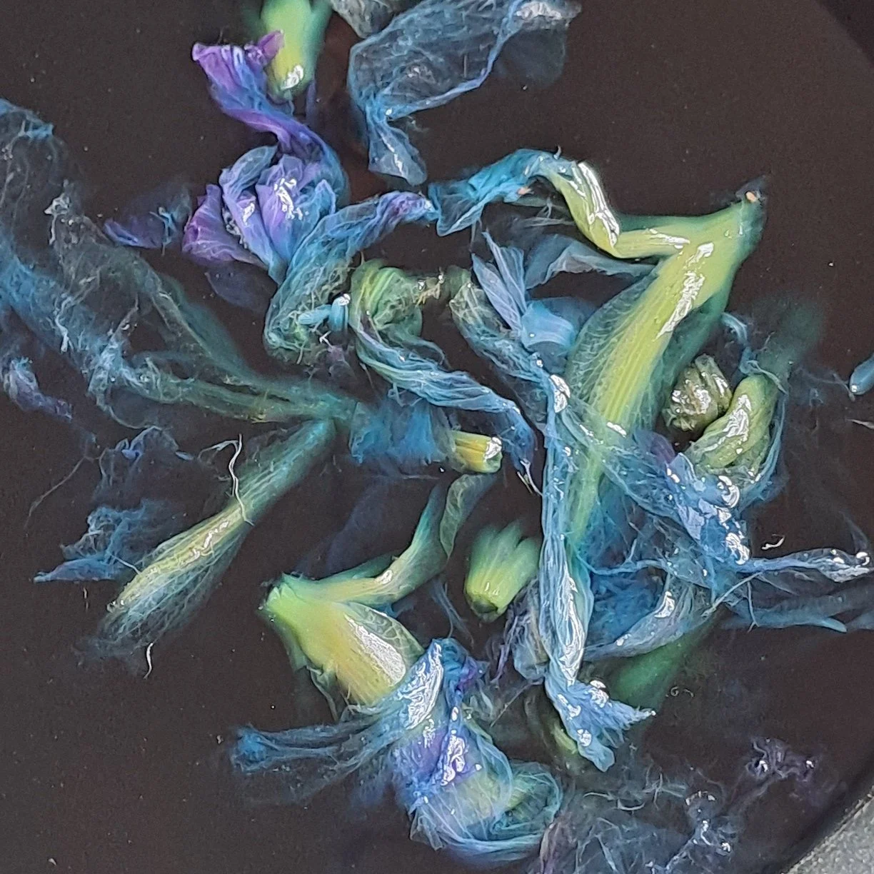 Le mystère de Nos Iris, 