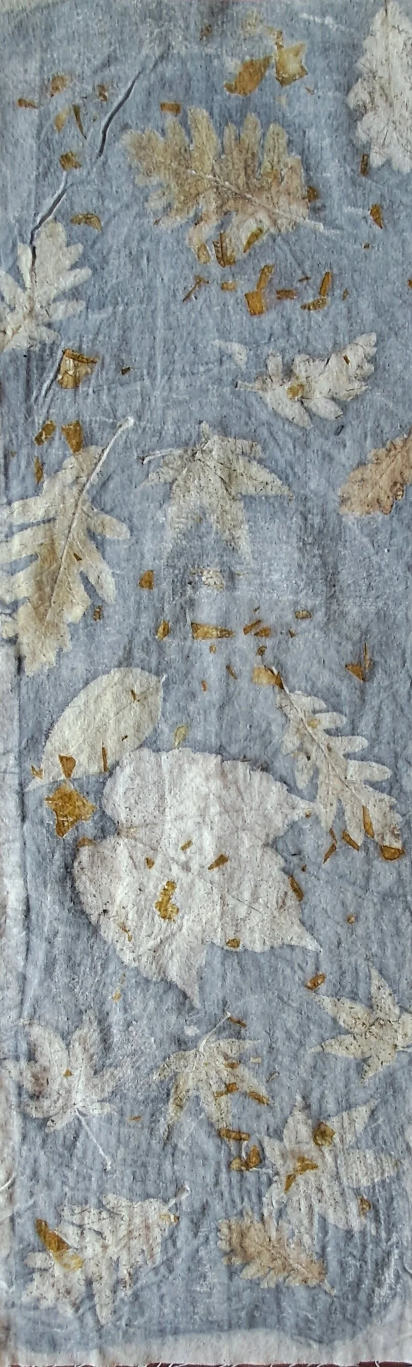 Impression végétale feuilles de chêne sur fond teinture troene