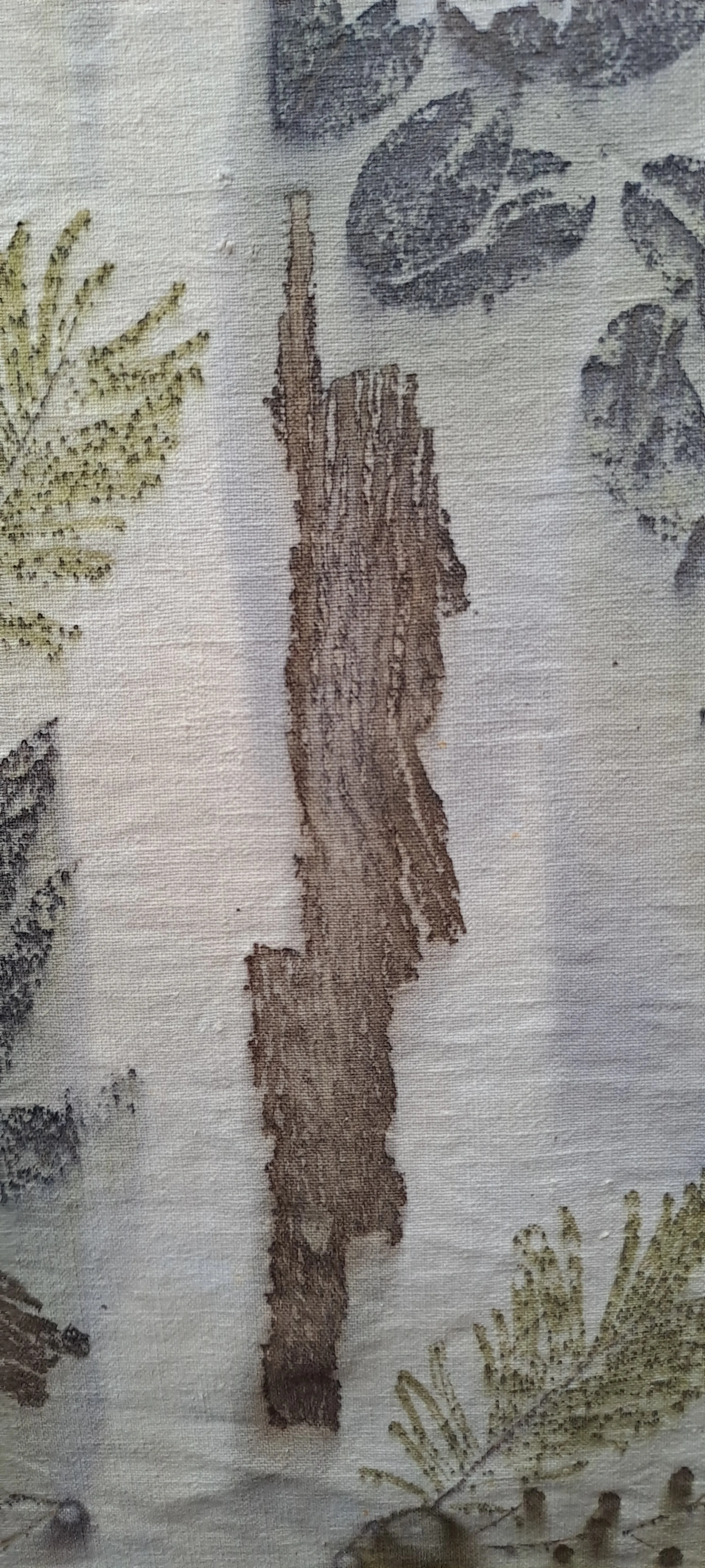 Impression végétale écorce eucalyptus