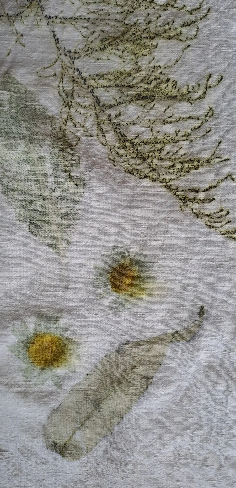 Impression végétale marguerite