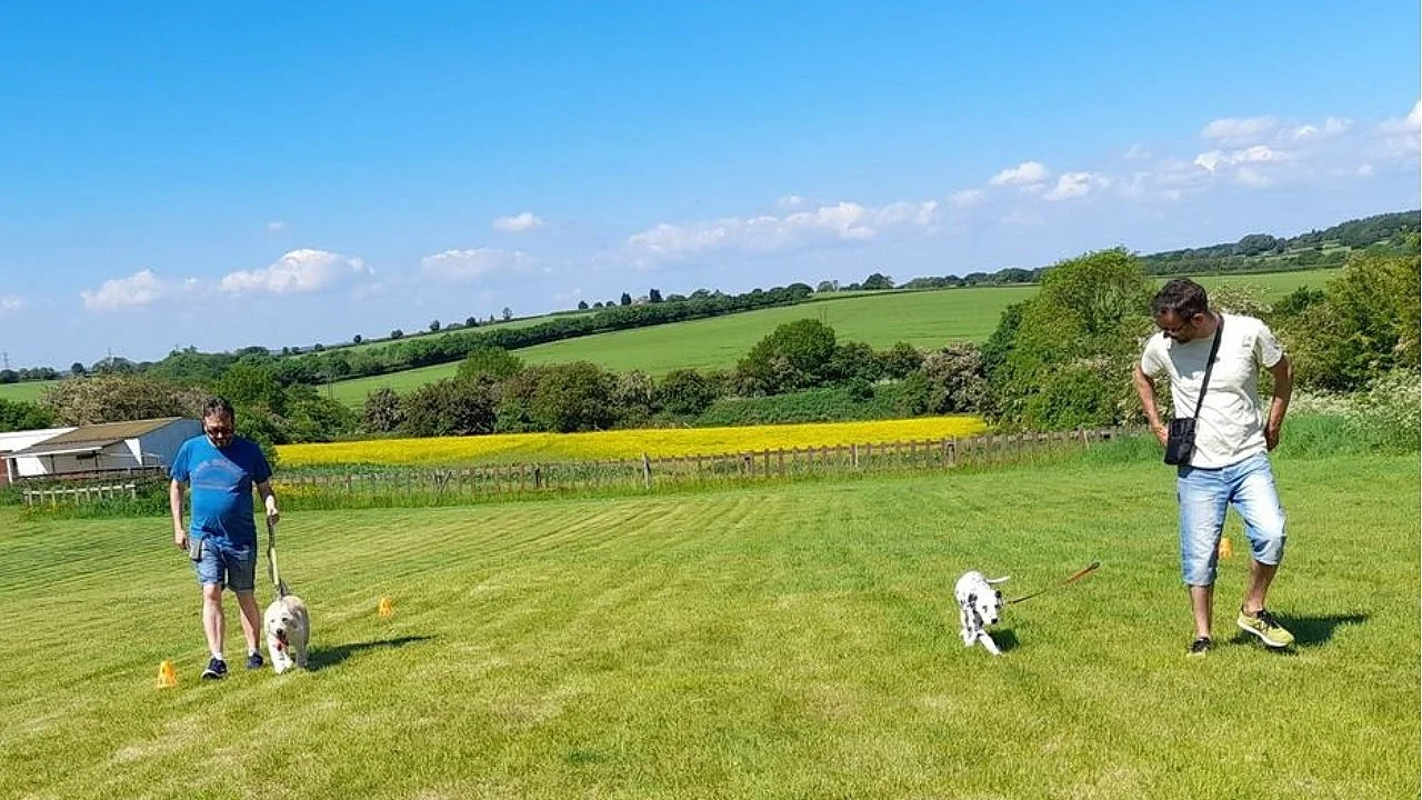 Puppy Classes — Gracious Dogs