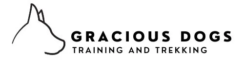 Three Levels Of Recall For Your Dog — Gracious Dogs