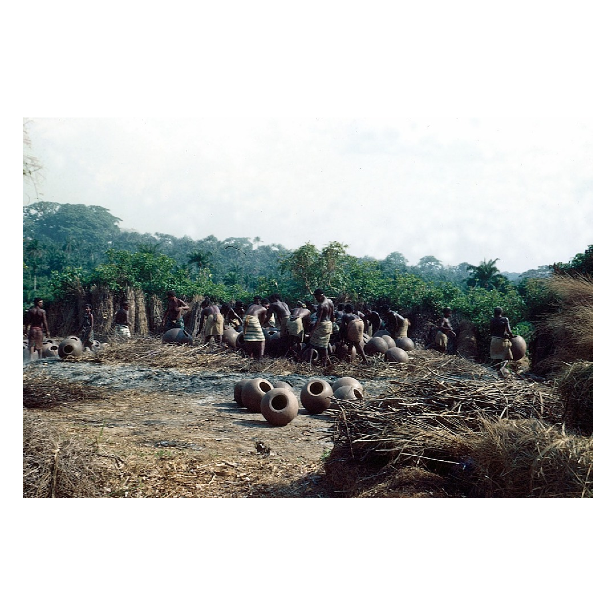 AADC - 77I.png