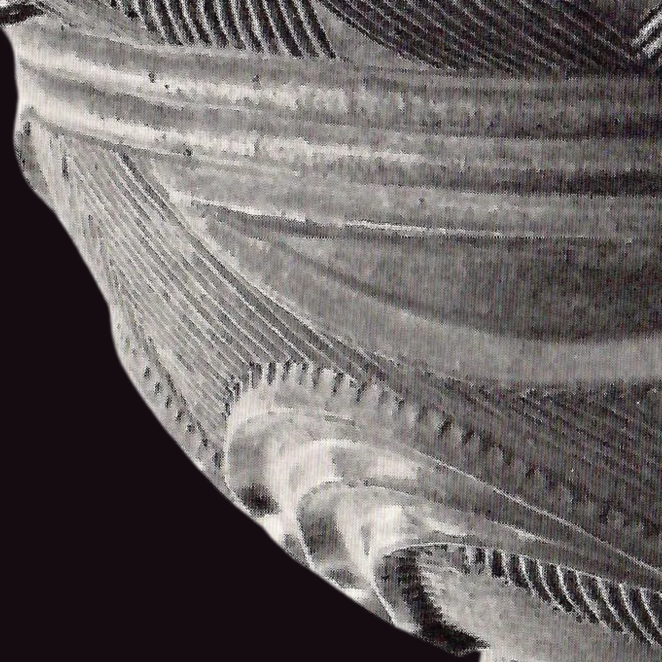 AADC - 77J.png