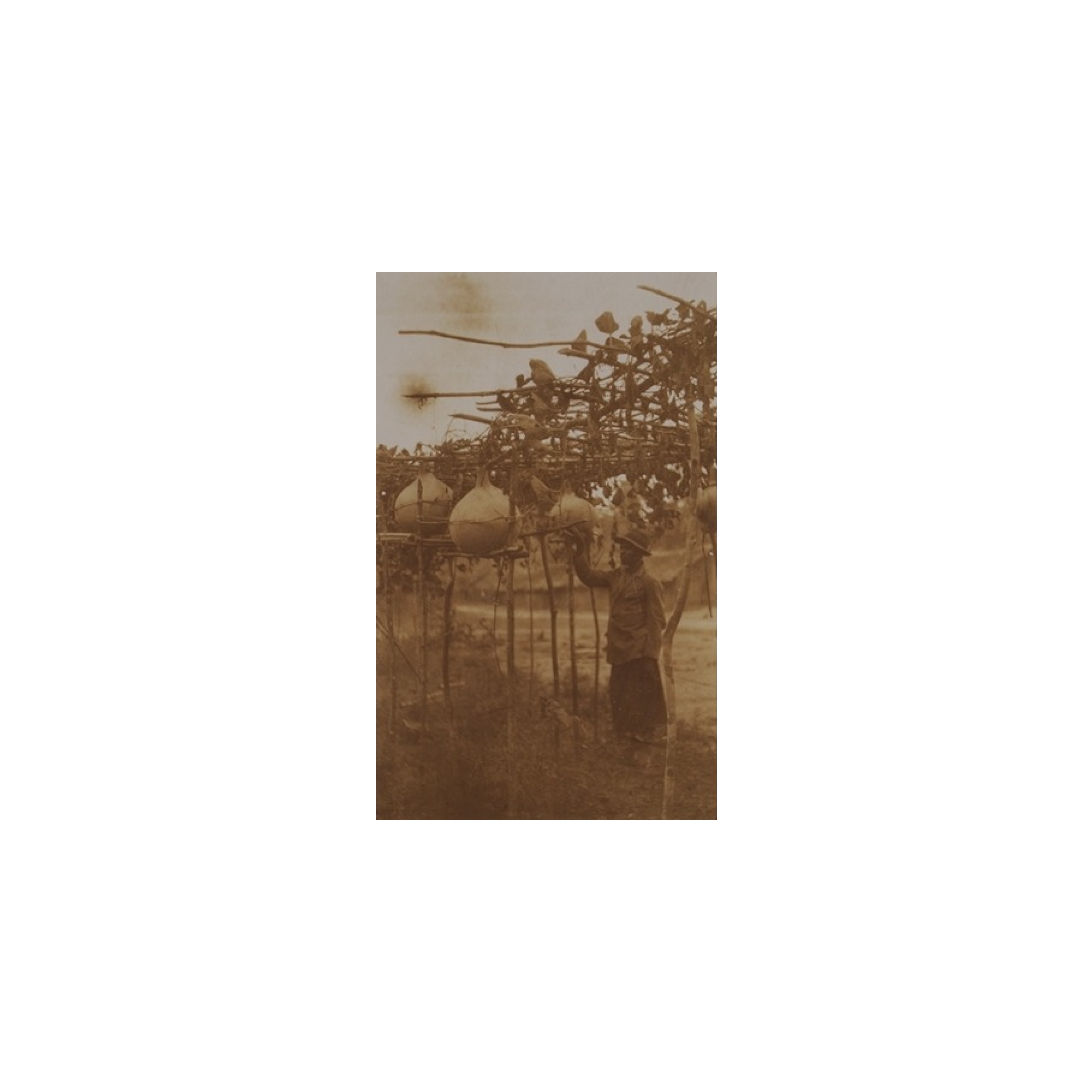 AADC - 78E.png