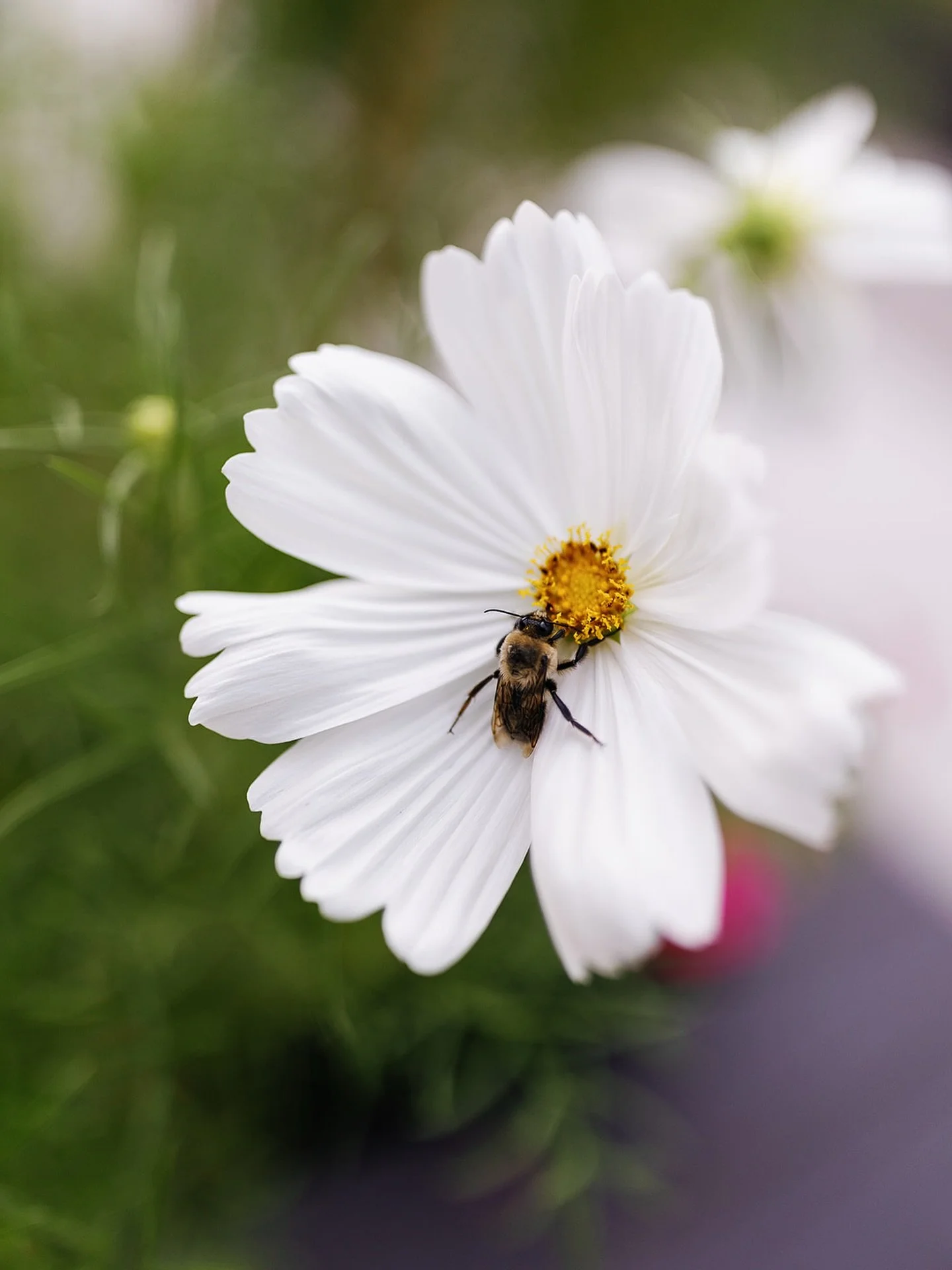 Happy First Day of Spring!

I love this whimsical detailed moment captured by the talented artist @rachel_joy_monet 

Wedding planning season is in full bloom!
&bull;&bull;&bull;
#eventsbyjulie #springweddings #kentuckyweddings #kentuckyspring #sprin