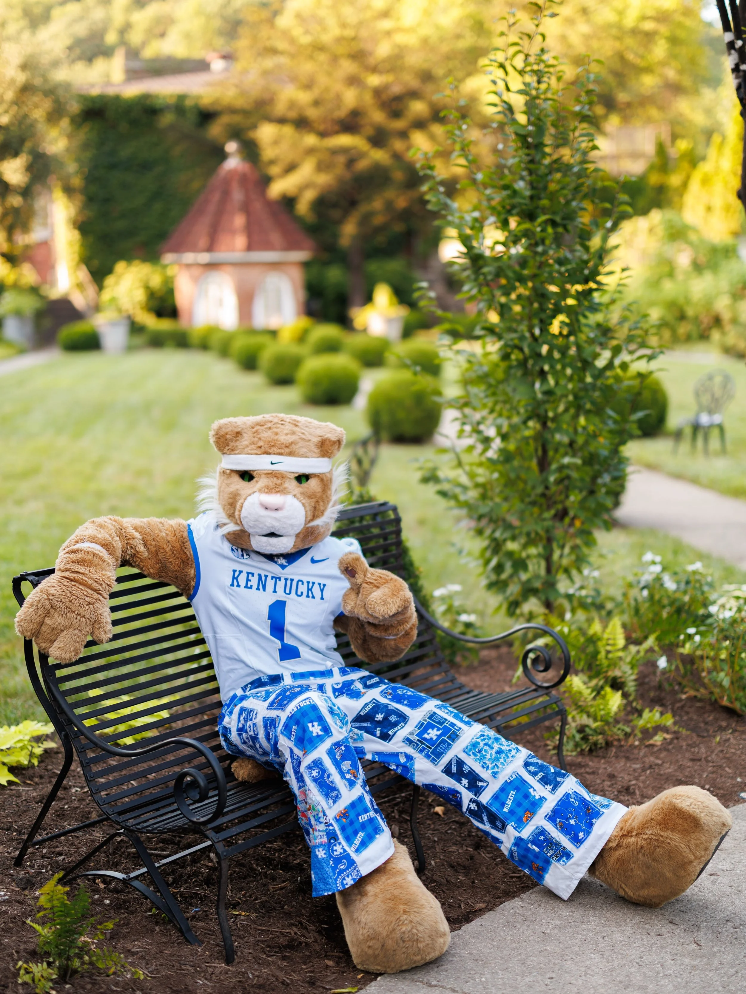 Go CATS! 💙😻🏈🎉
&bull;&bull;&bull;
#eventsbyjulie #kyweddingplanner #ukwildcats #kyweddings #caturdays
