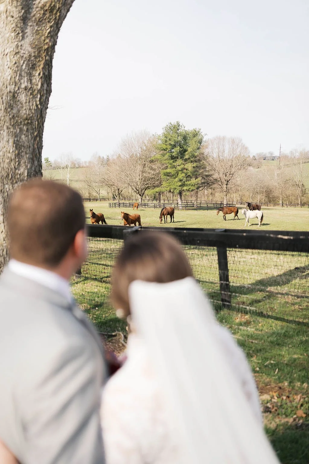 Bride&Groom-133.jpg