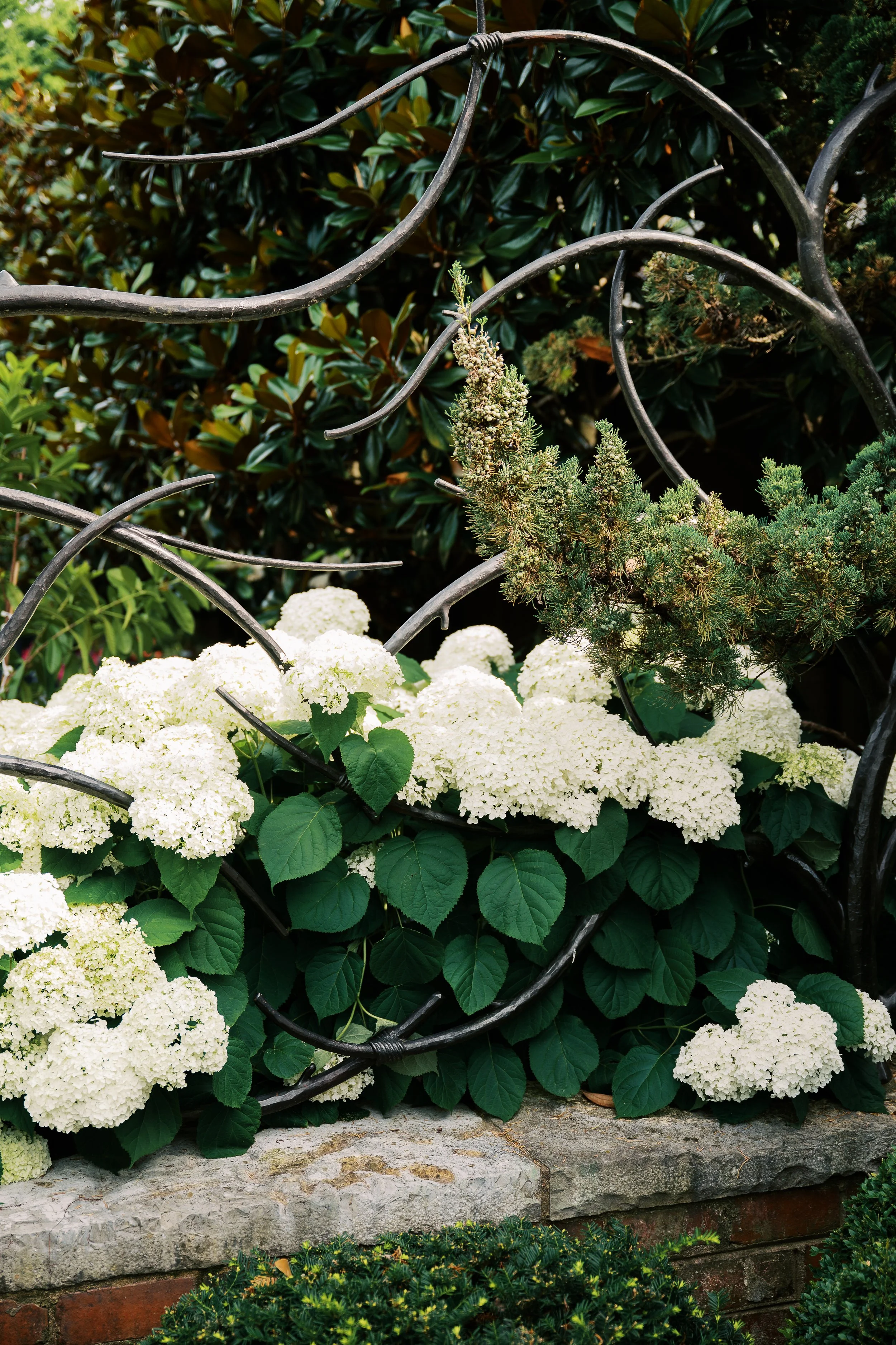 DSC_6249.jpg