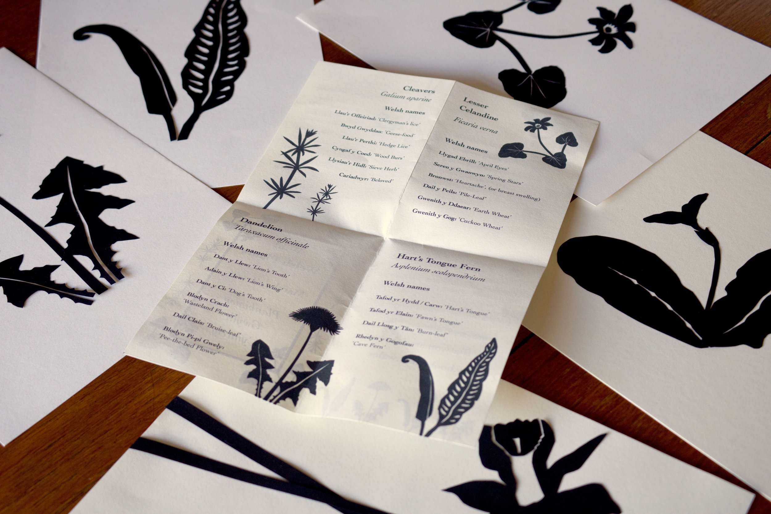 popty workshop paper cuts image.jpg