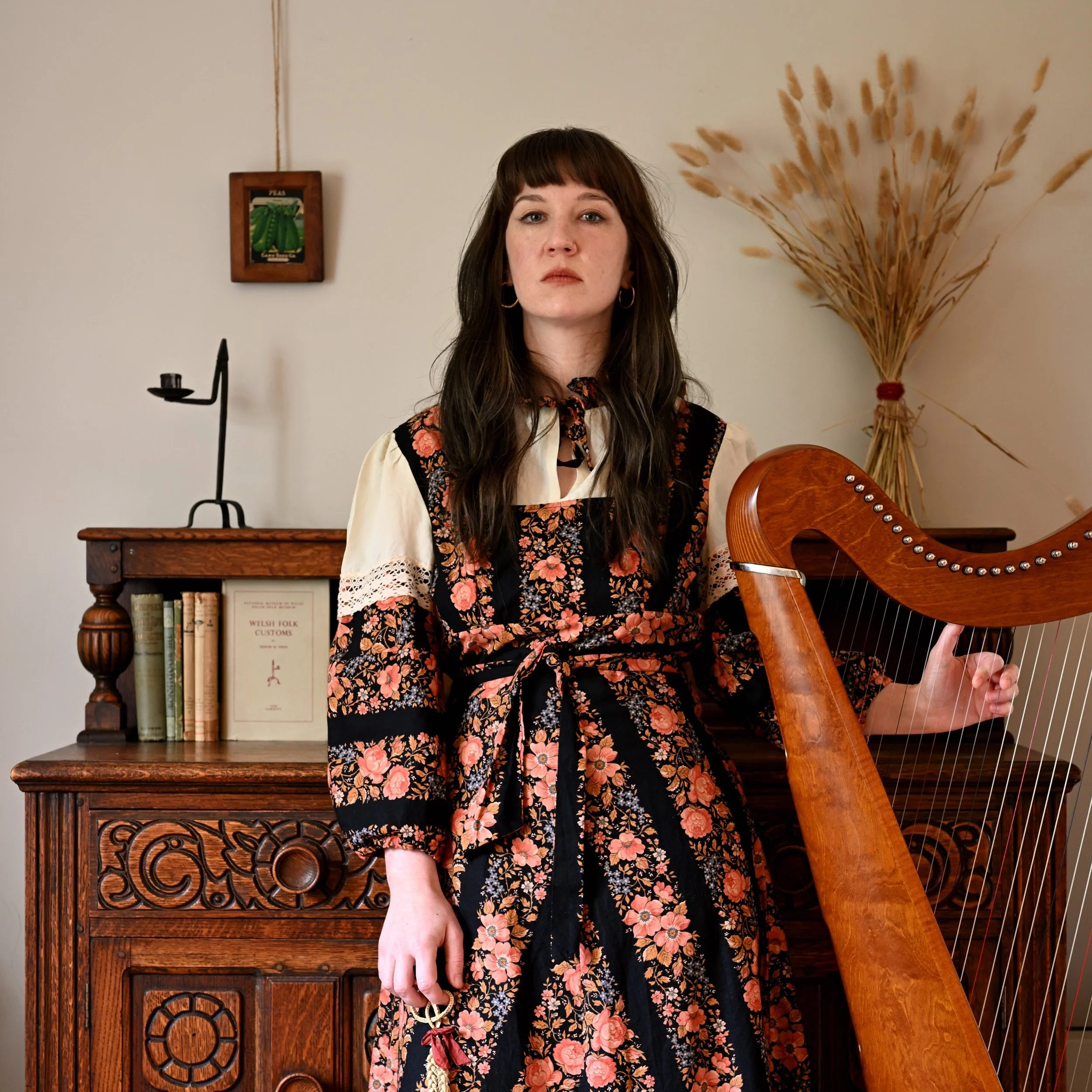 Welsh Botanical Folk Art with Harp Music | Heuldro’r Haf : 20 June 26