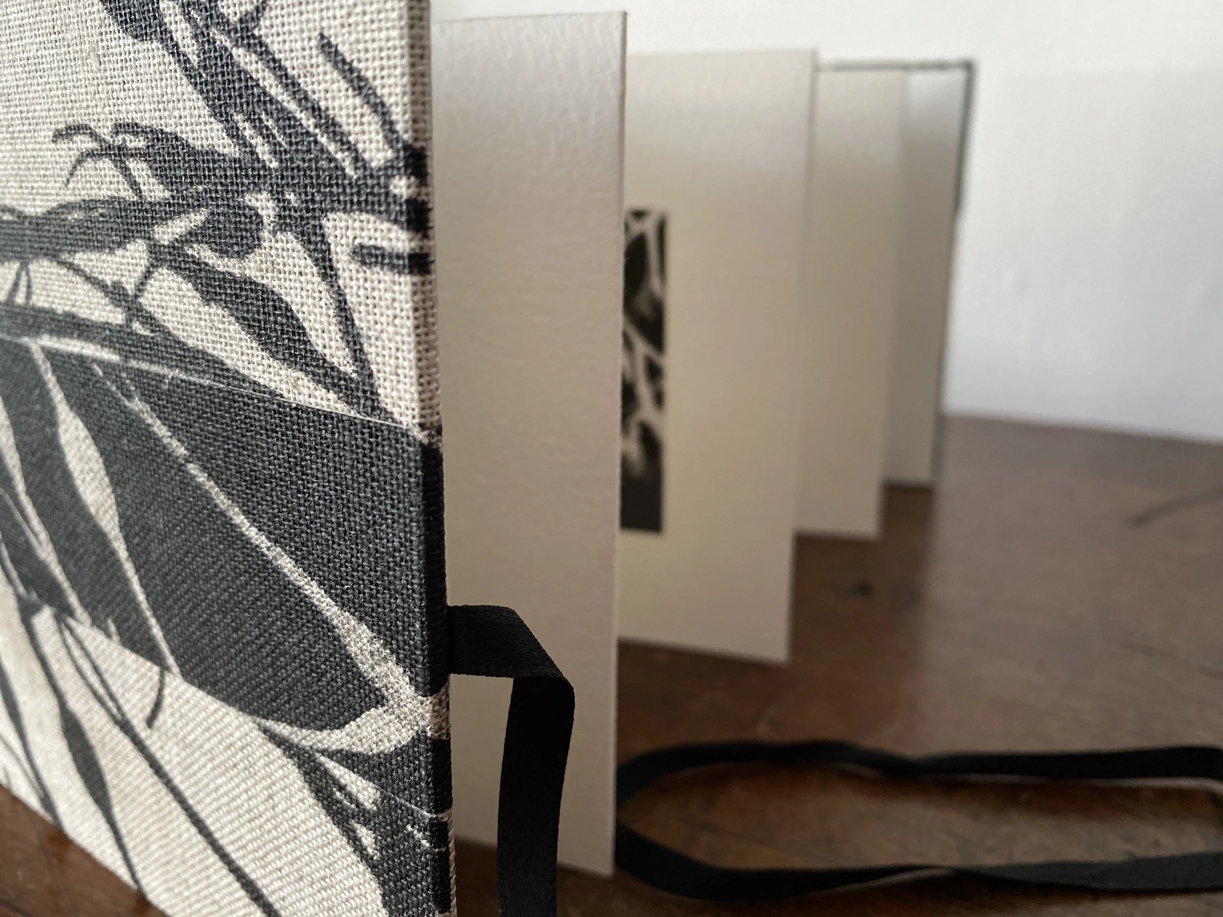 Adventures in book-binding with Lesley Crawley : 9 May 26