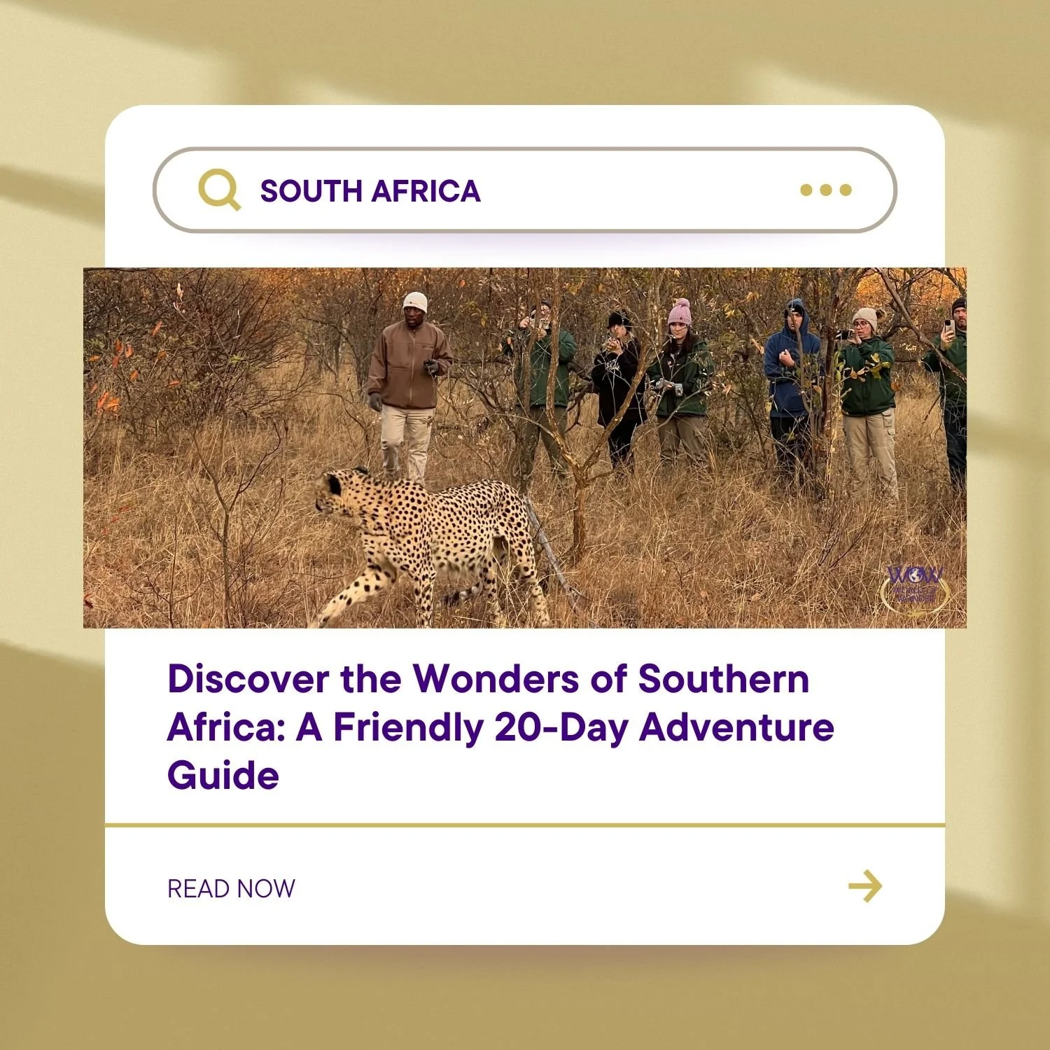 Discover the Wonders of Southern Africa: A Friendly 20-Day Adventure Guide