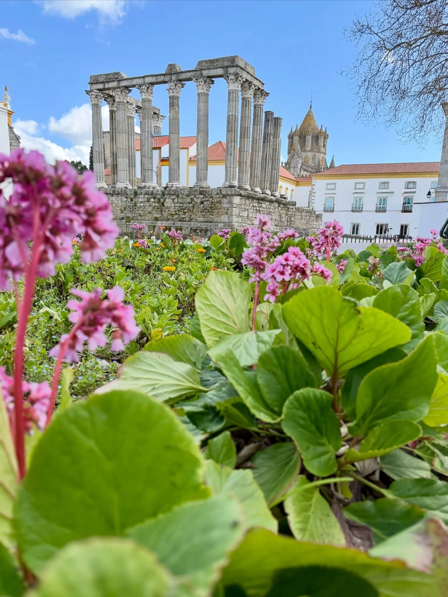 If you only have a few hours in &Eacute;vora, Portugal, these are the 3 must-see places you cannot miss 🇵🇹

&Eacute;vora is a UNESCO World Heritage city about 1.5 hours from Lisbon and is packed with incredible history. These three sites are all wi