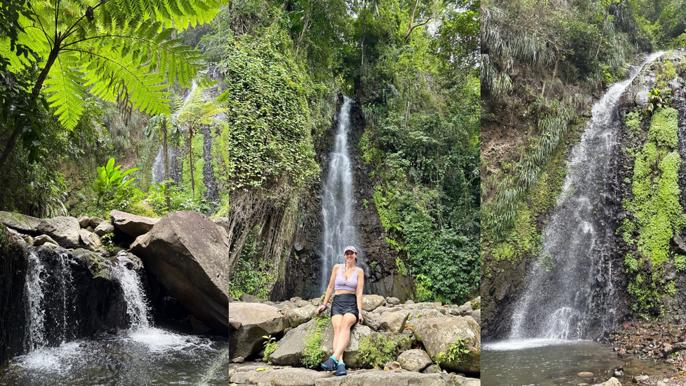 What to See in St. Vincent – The Ultimate Caribbean Hidden Gem Guide ...