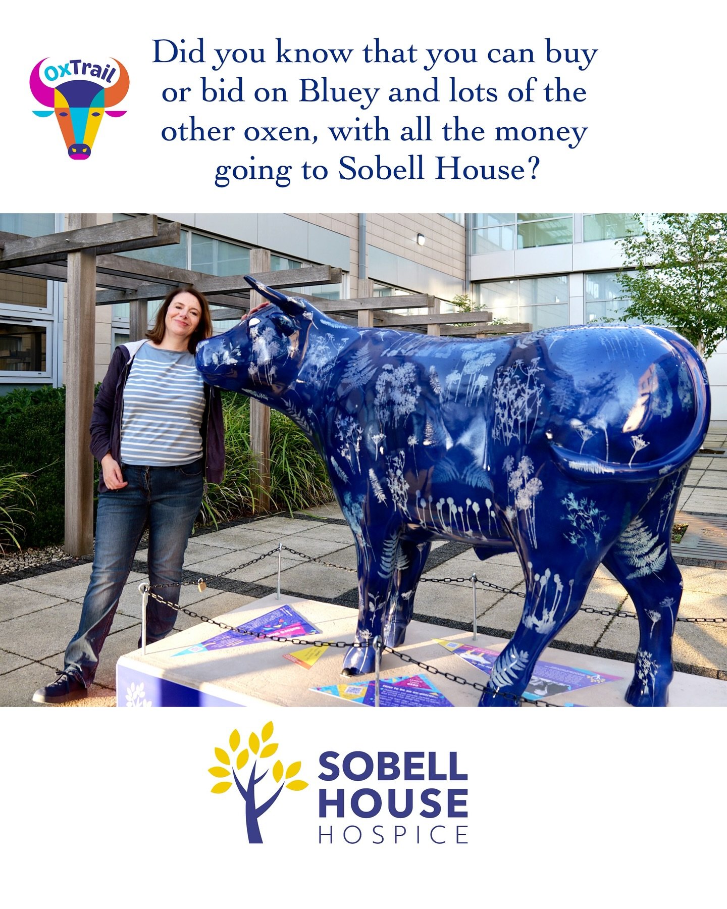 Would you like your very own ox grazing in your garden or to attract visitors to a business?!

The auction is on Friday 13th September at the Said Business School in Oxford but you can already put a bid in.

There is a link to the online catalogue in