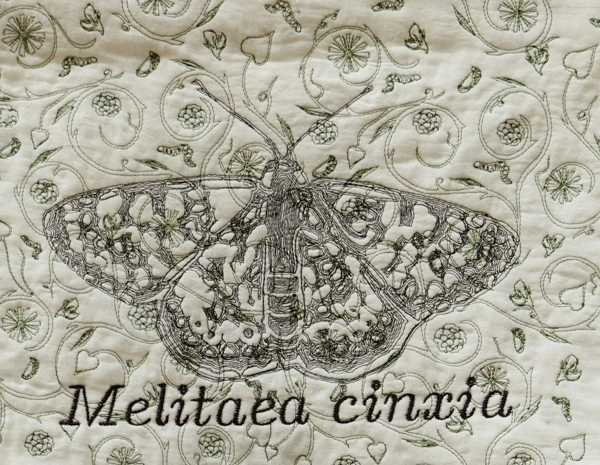 Melitaea cinxia - embroidery on muslin 35cm x 29cm