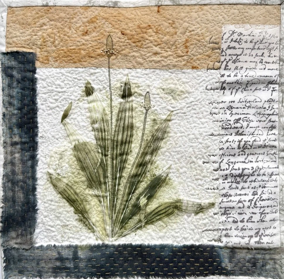 Plantain - hand dyed cloth, screen print, applique, embroidery 30cm x 30cm