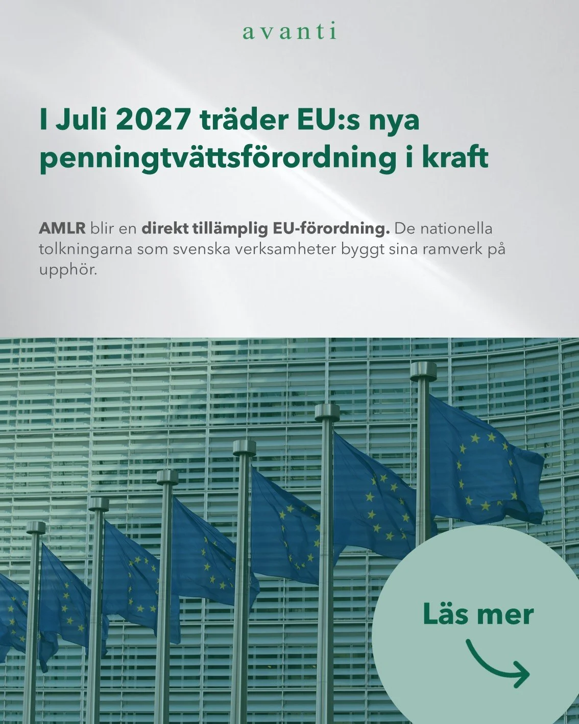Bild1.JPG