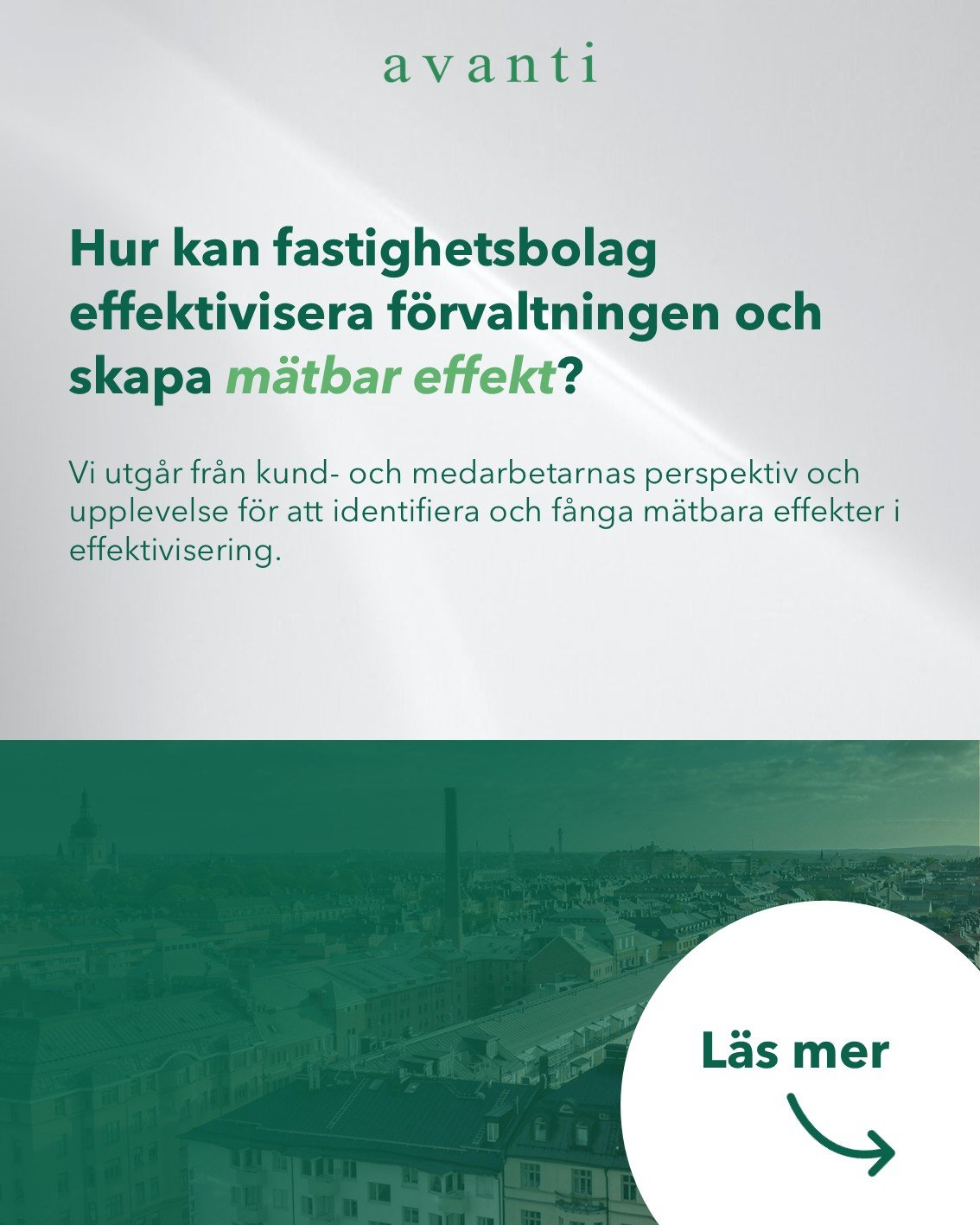 Bild1.JPG