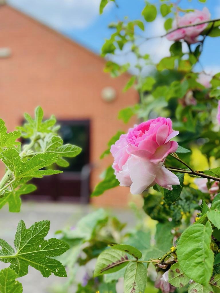 Quinton Village Hall