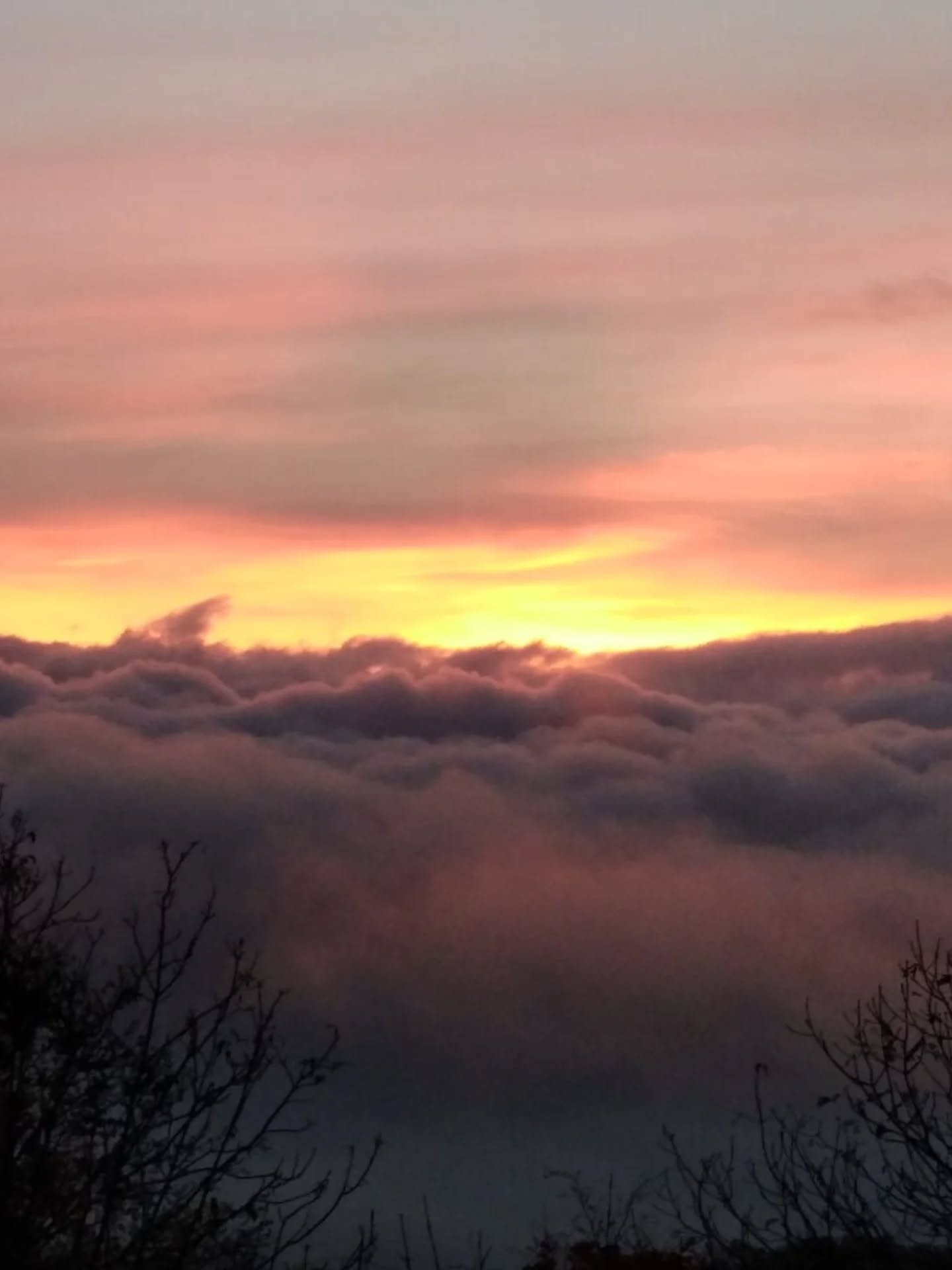 💗 Pays-sages de magie
.
Qui illuminent ma vie,
.
Me nourrissent jusqu'au bout des doigts
.
&amp; bien au-del&agrave; ✨
.
.
💗 "POV" quand vous me demandez dans quel &eacute;tat int&eacute;rieur je vous masse. Lolilol pas si lol (t'as la re