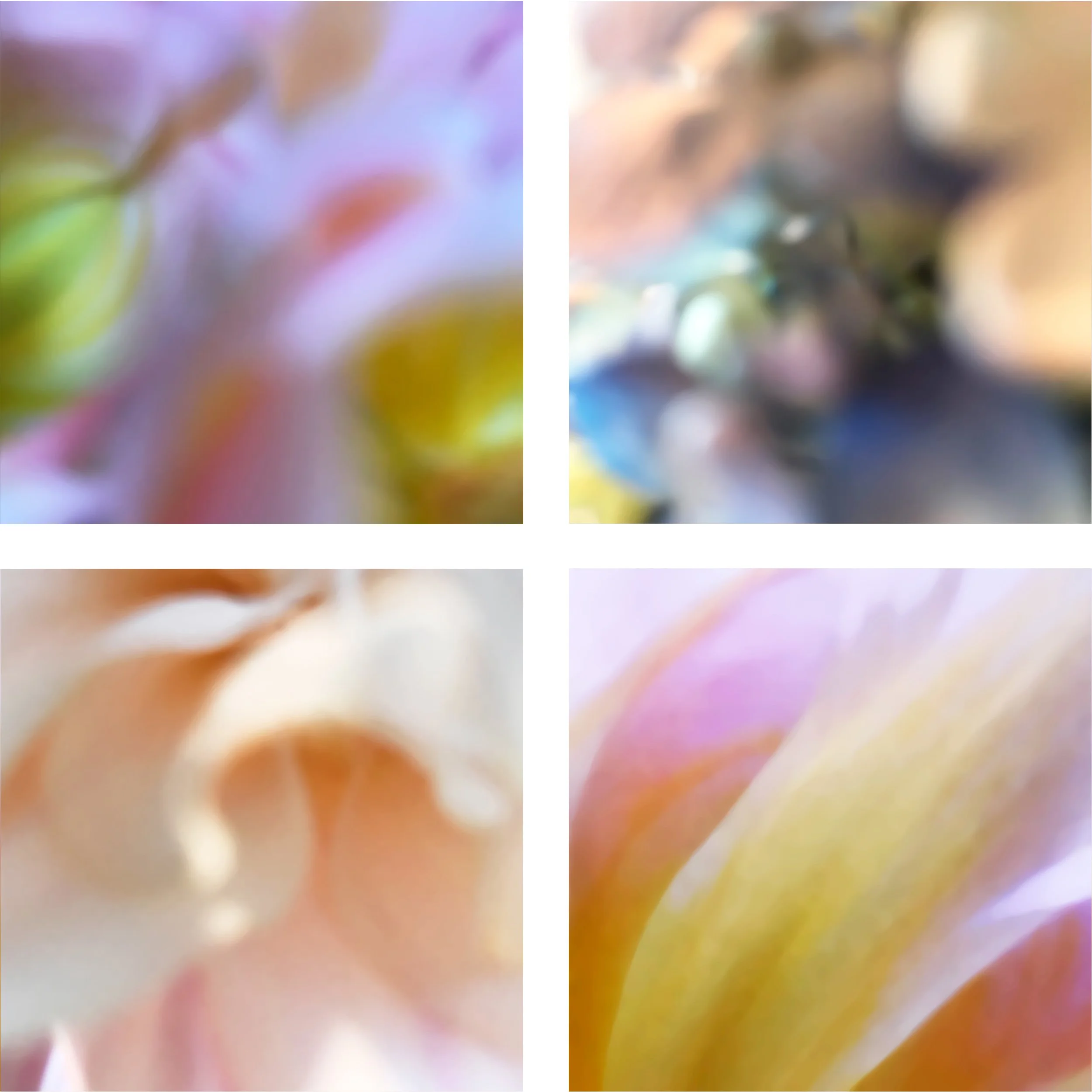 June Petals