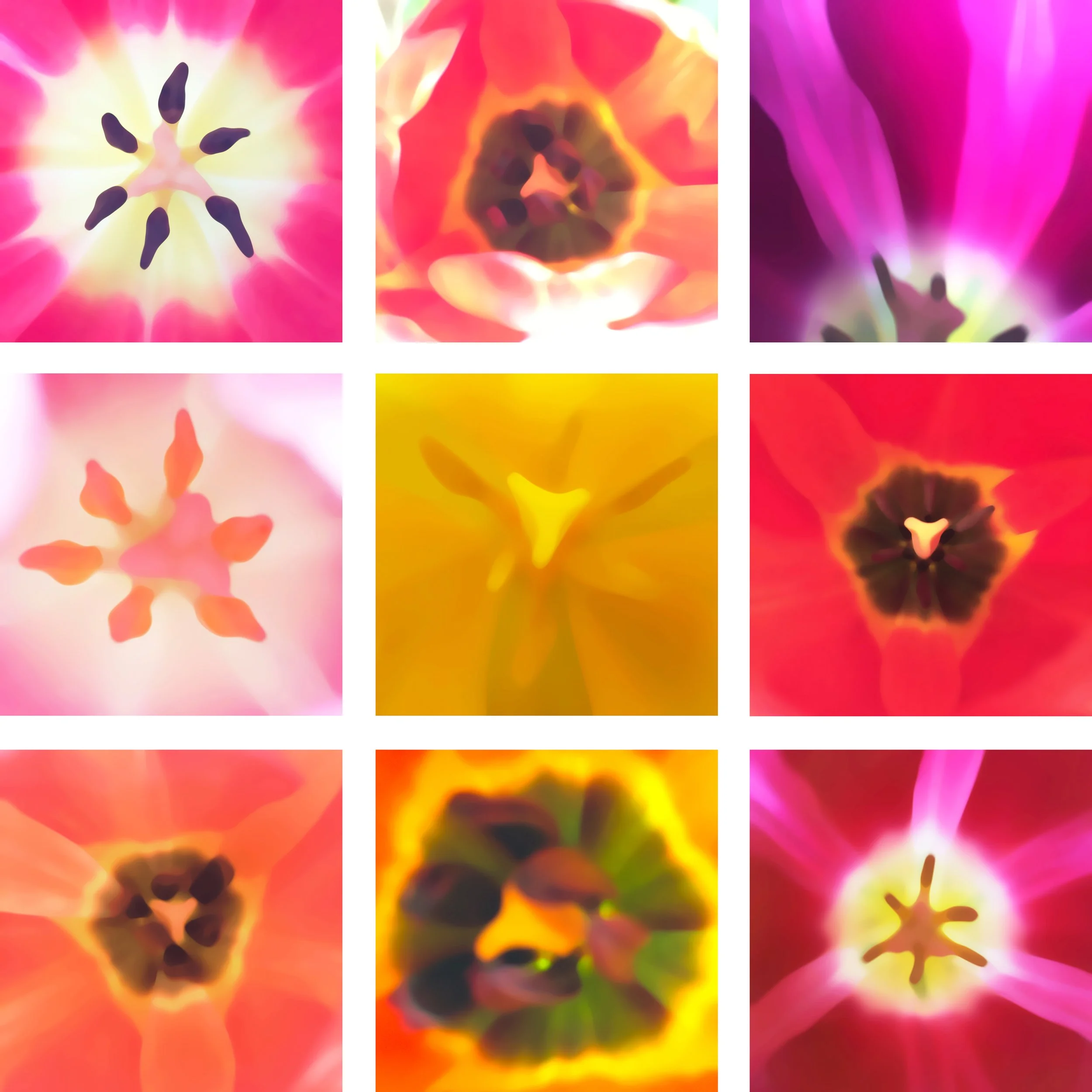 April Petals