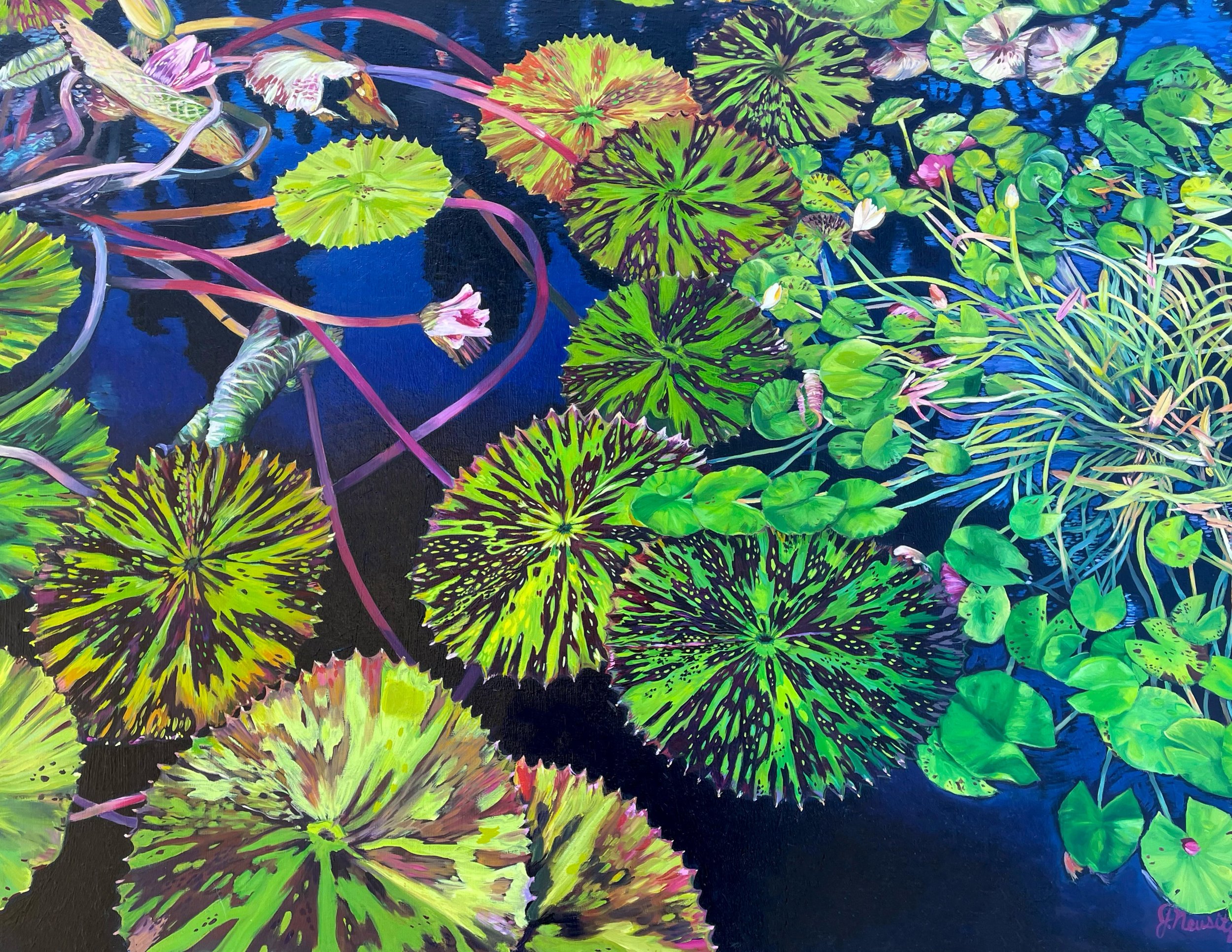 Waterlilies Postcard