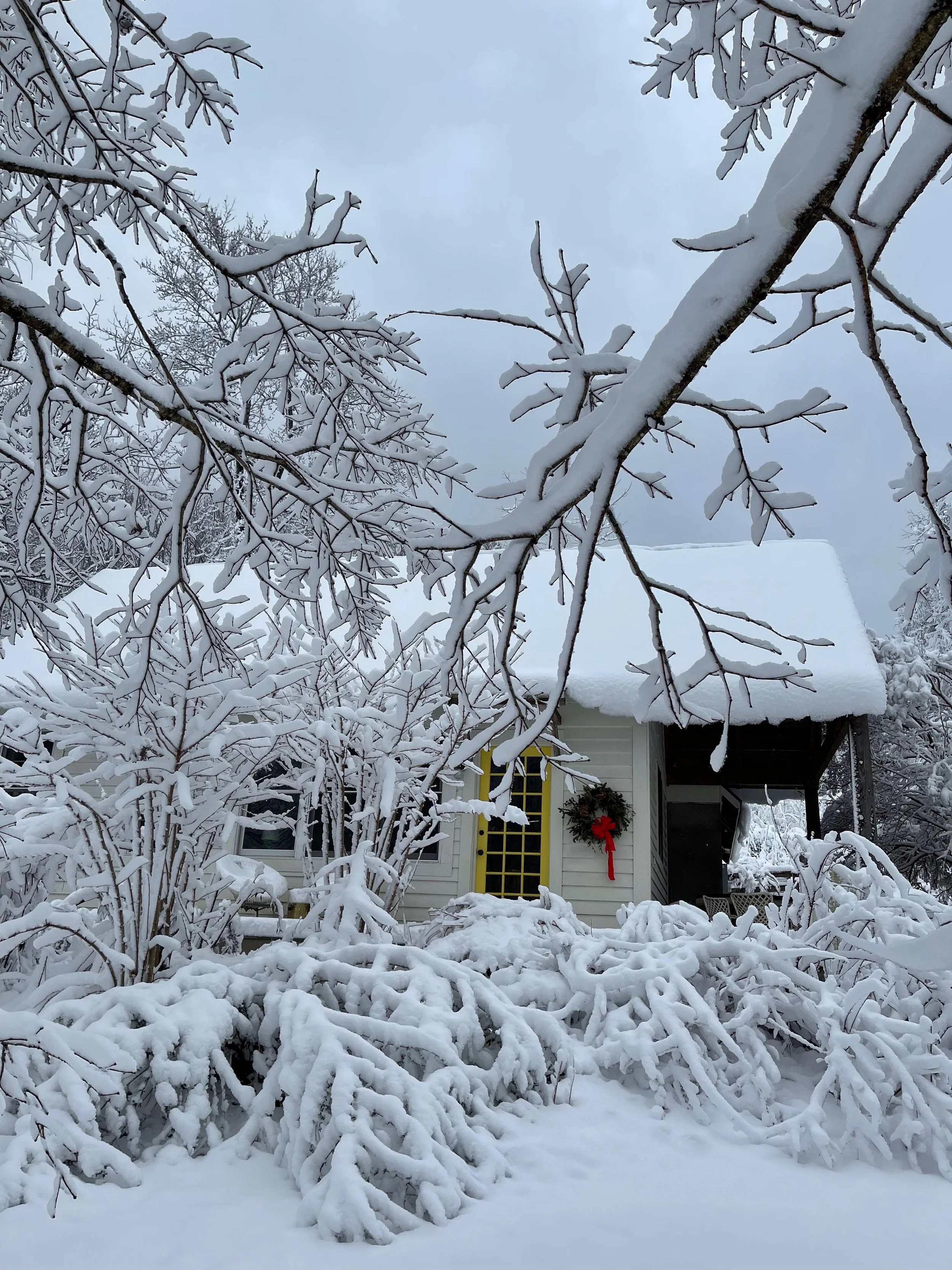 Snow-covered branches and trees in front of a small house with a decorated door