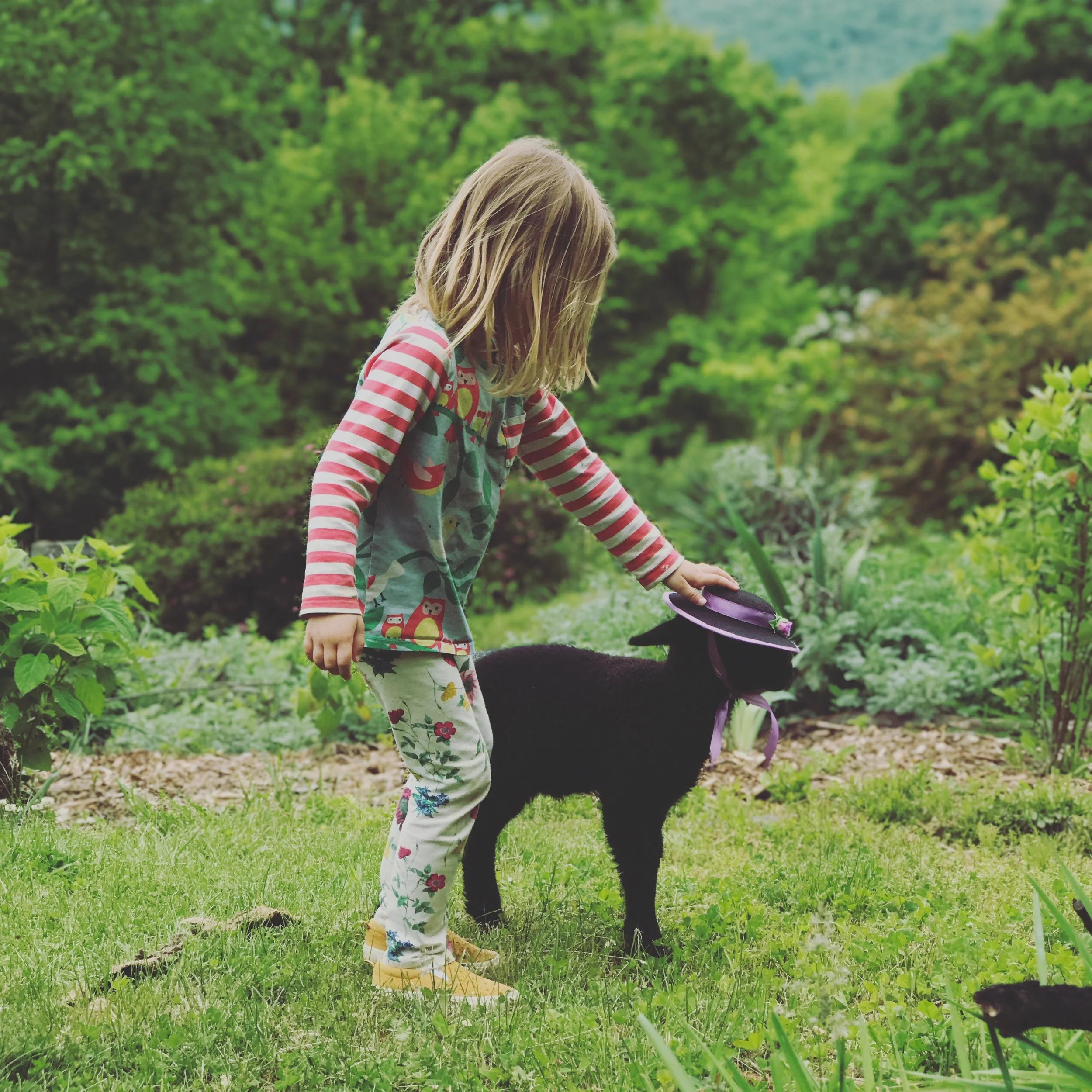 A young girl with blonde hair, wearing colorful patterned pants and a long-sleeve top with red and white stripes, gently petting a small black lamb wearing a purple hat in a lush green garden.