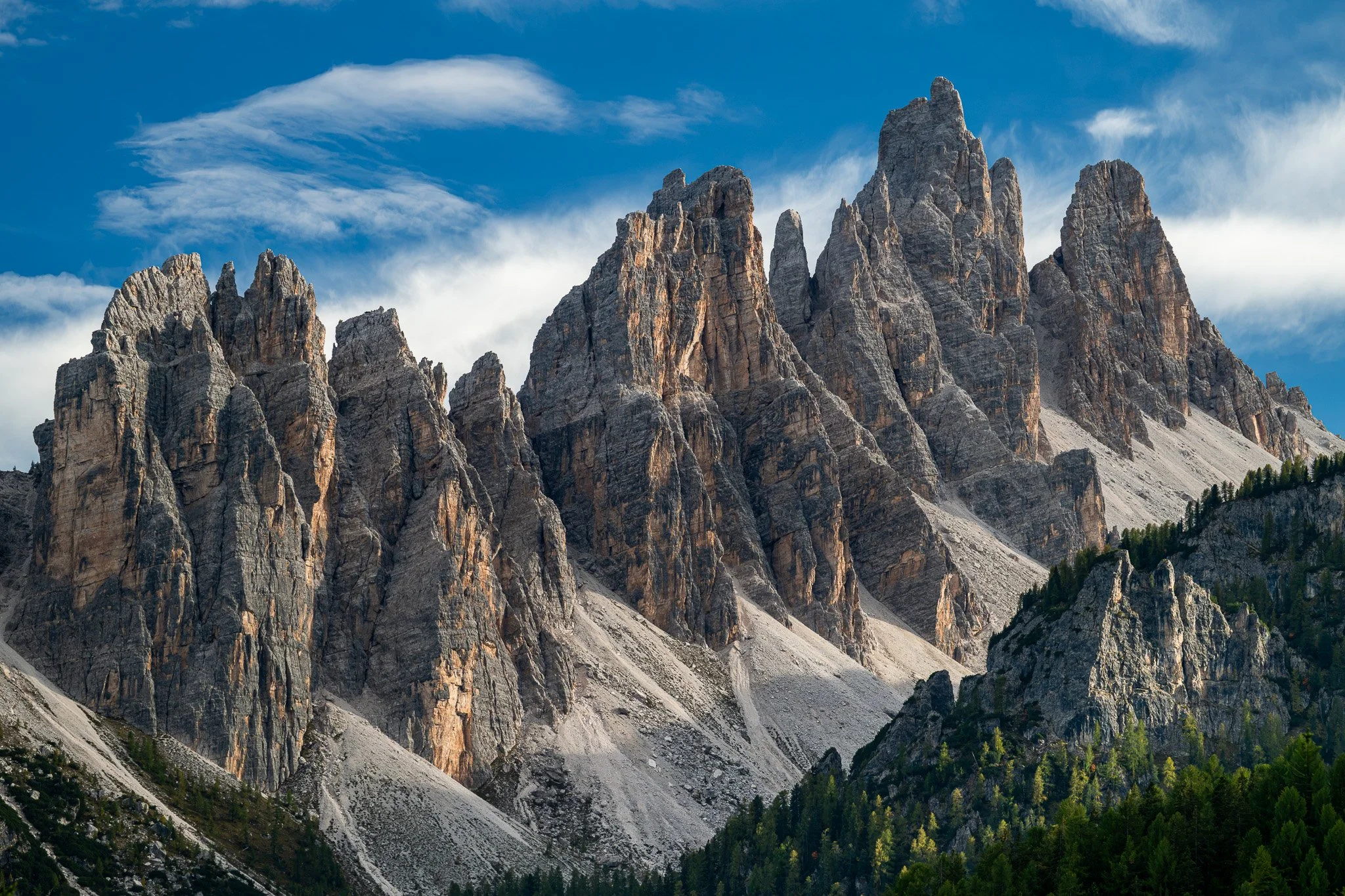 DSC_7446-4.jpg