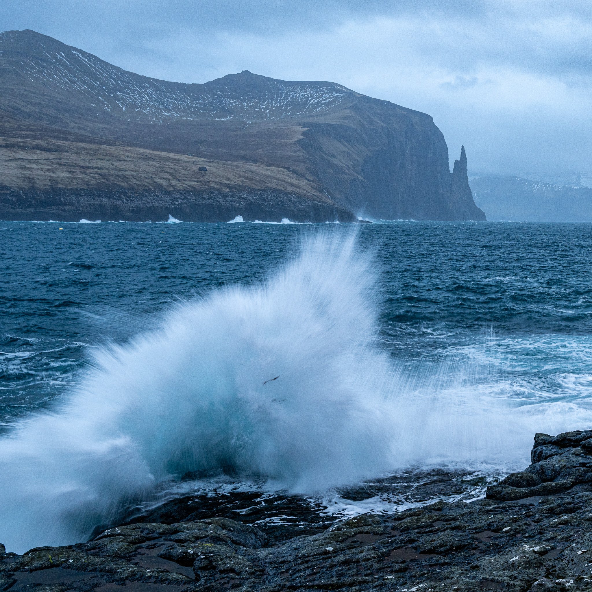 DSC_7072-2.jpg