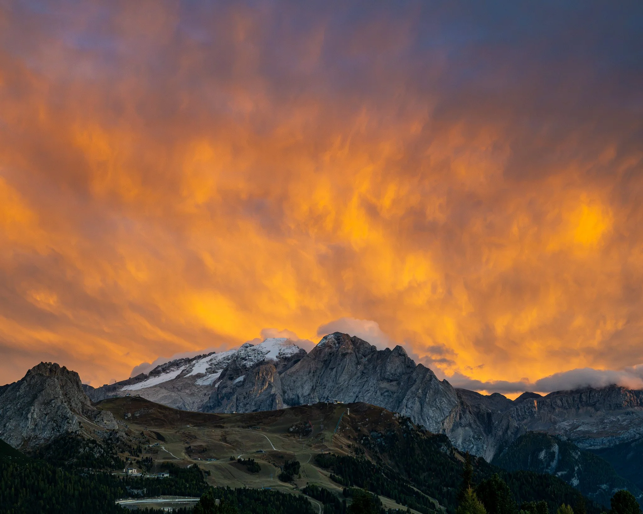 DSC_8547-2.jpg