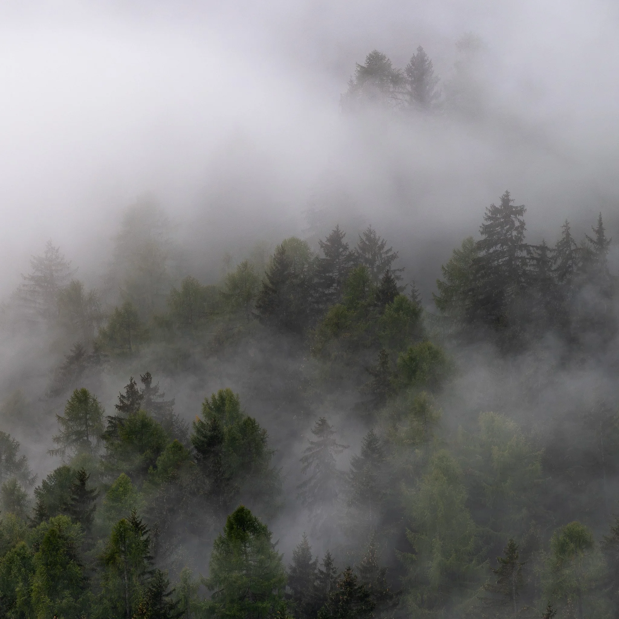 DSC_7652.jpg