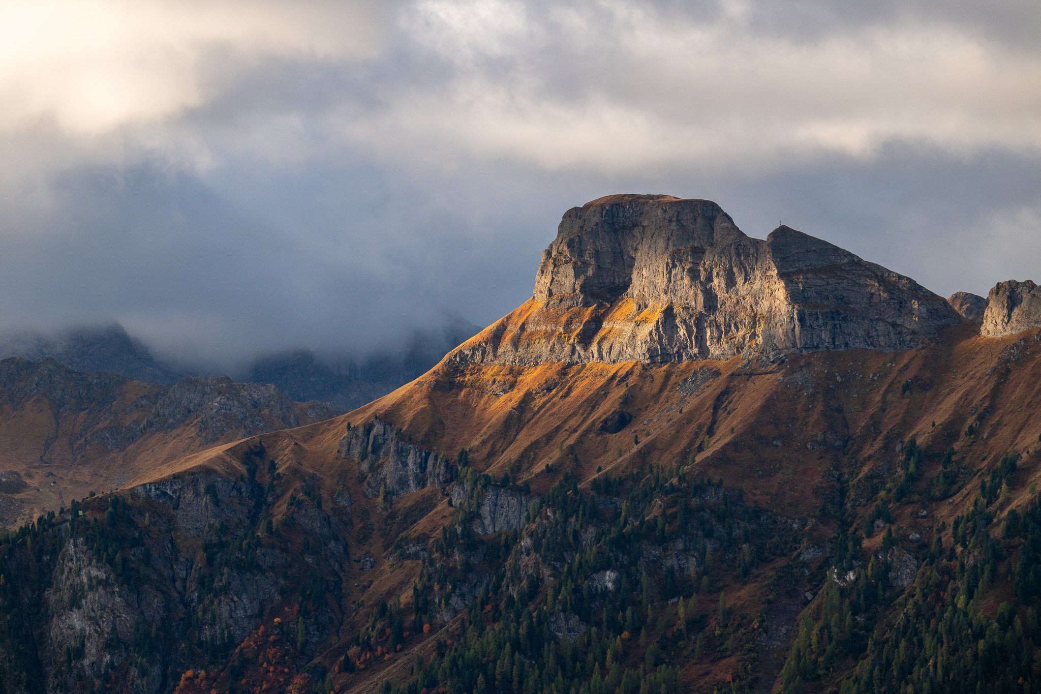 DSC_8039.jpg