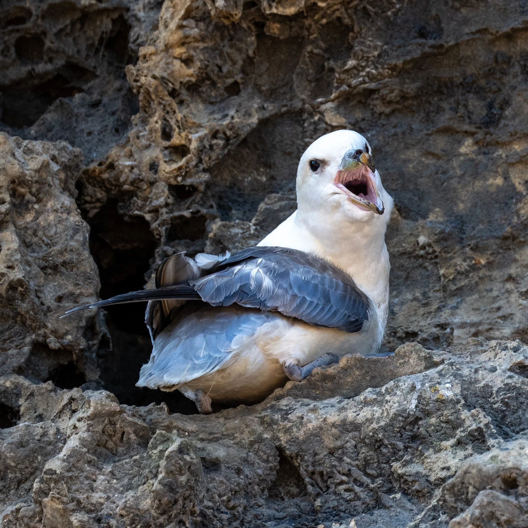 DSC_6655.jpg