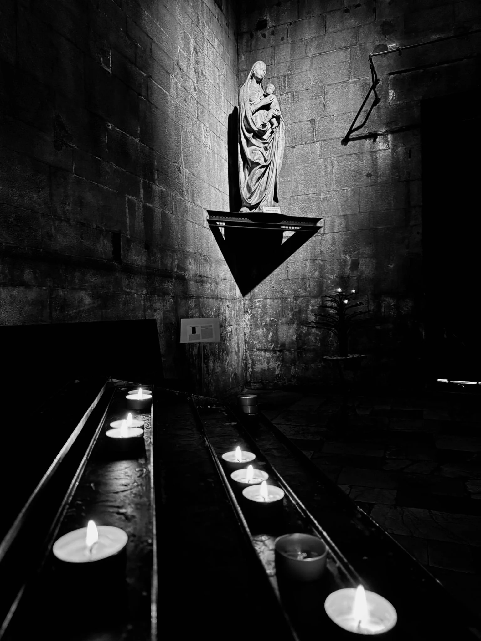 WhatsApp Image 2025-09-19 at 10.02.22.jpeg