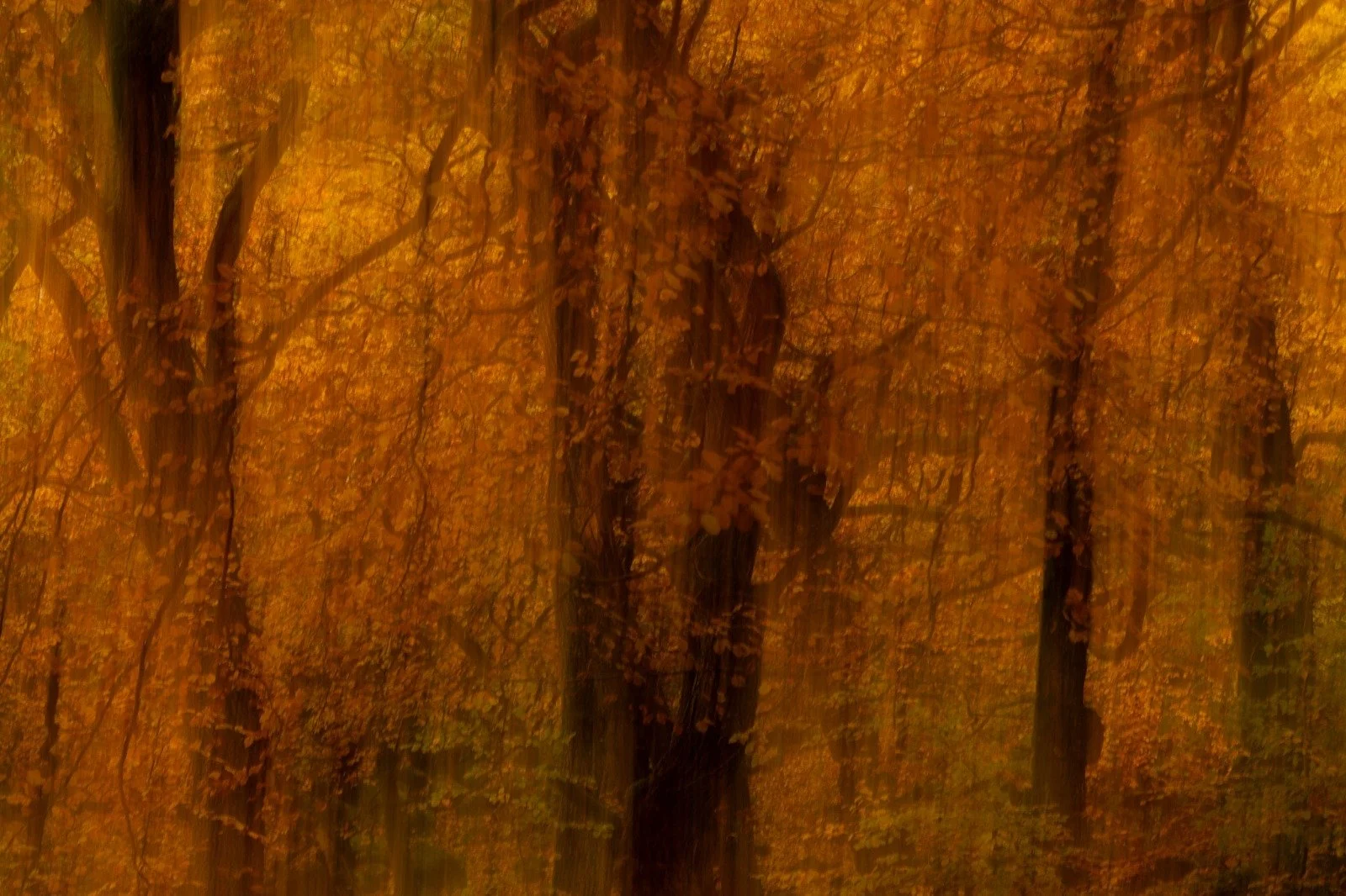 WhatsApp Image 2023-11-07 at 21.11.36.jpeg