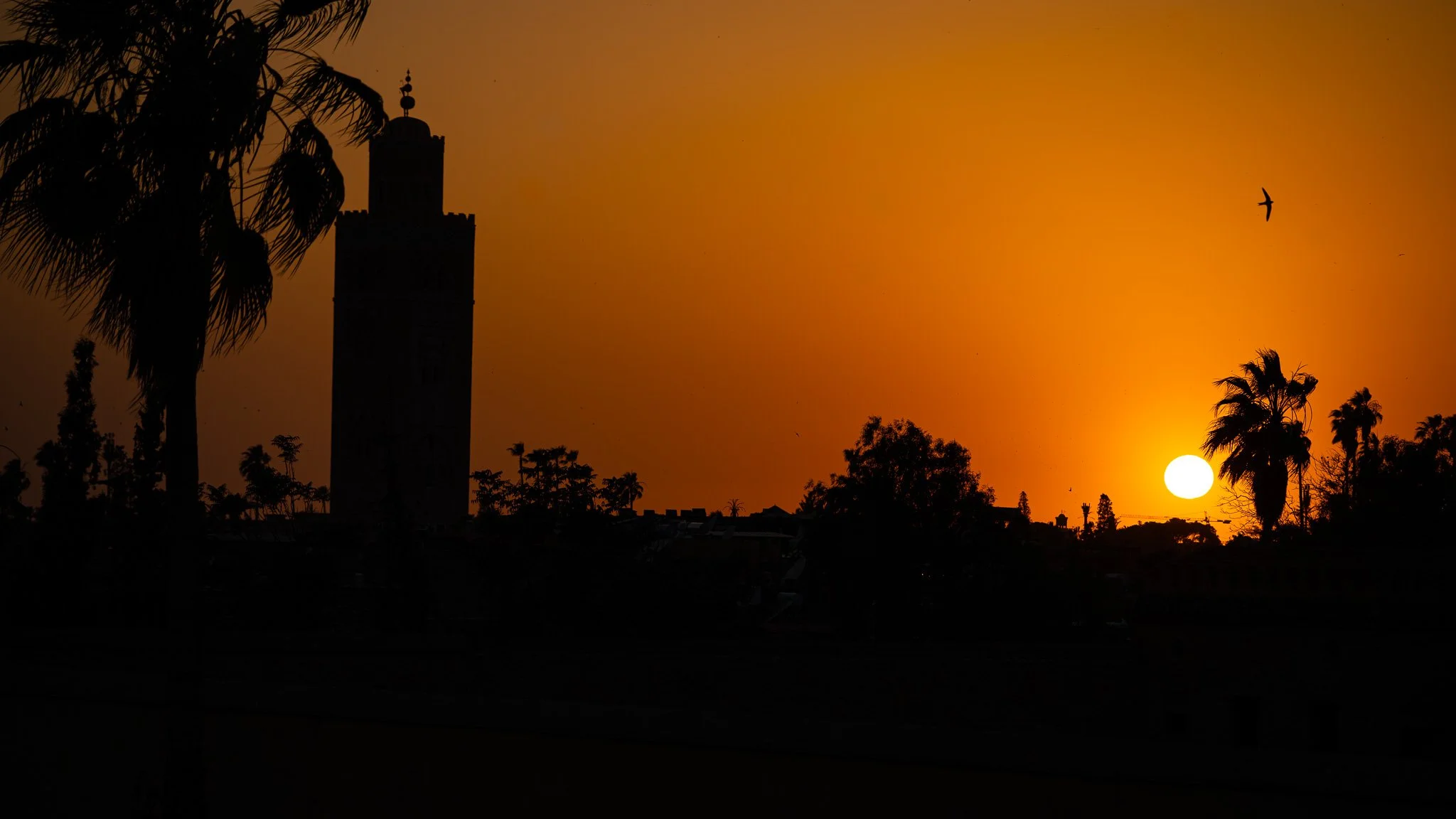 DSC_4994.jpg
