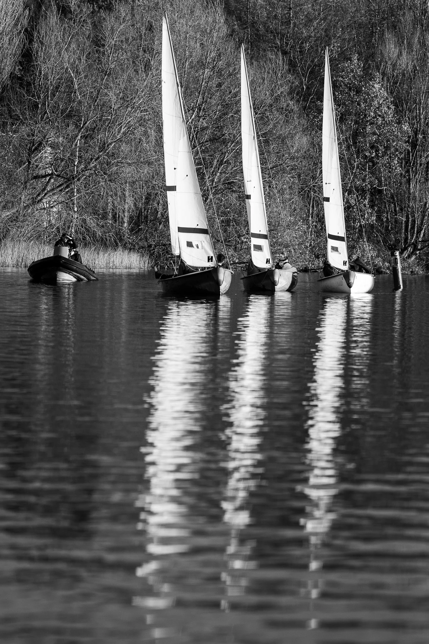 DSC_4301.jpg