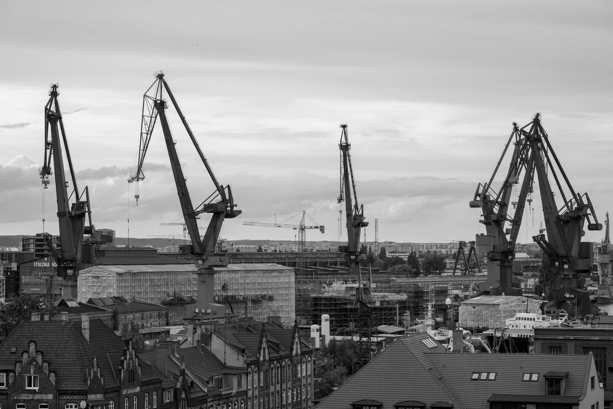 DSC_1662.jpg
