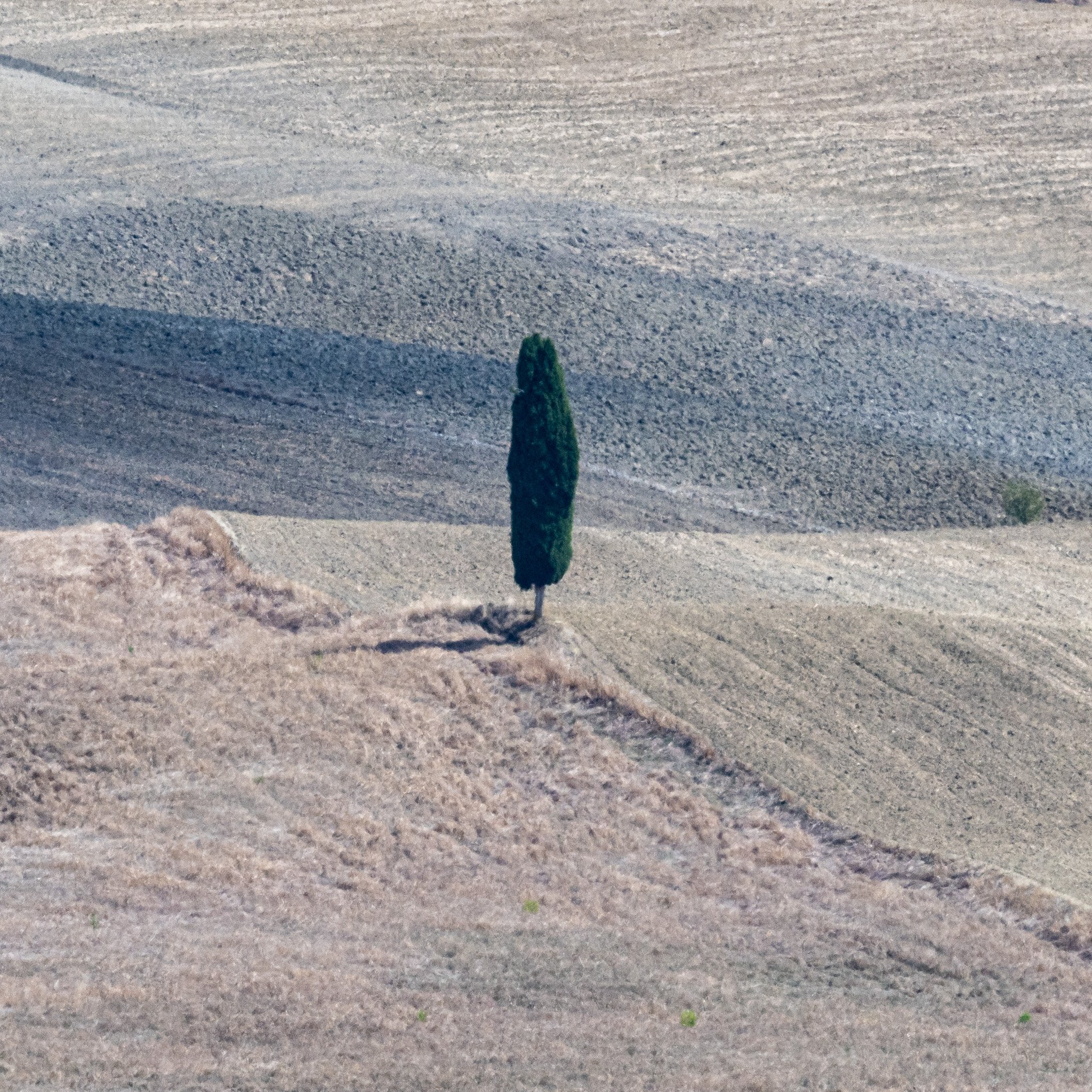 DSC_5068.jpg