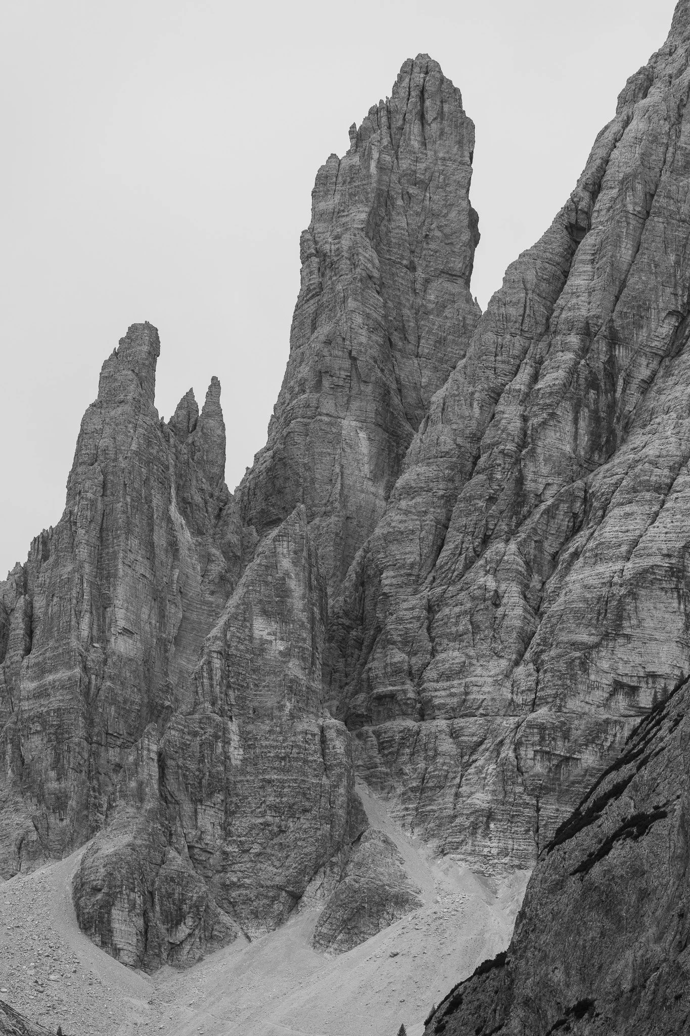 DSC_6961.jpg