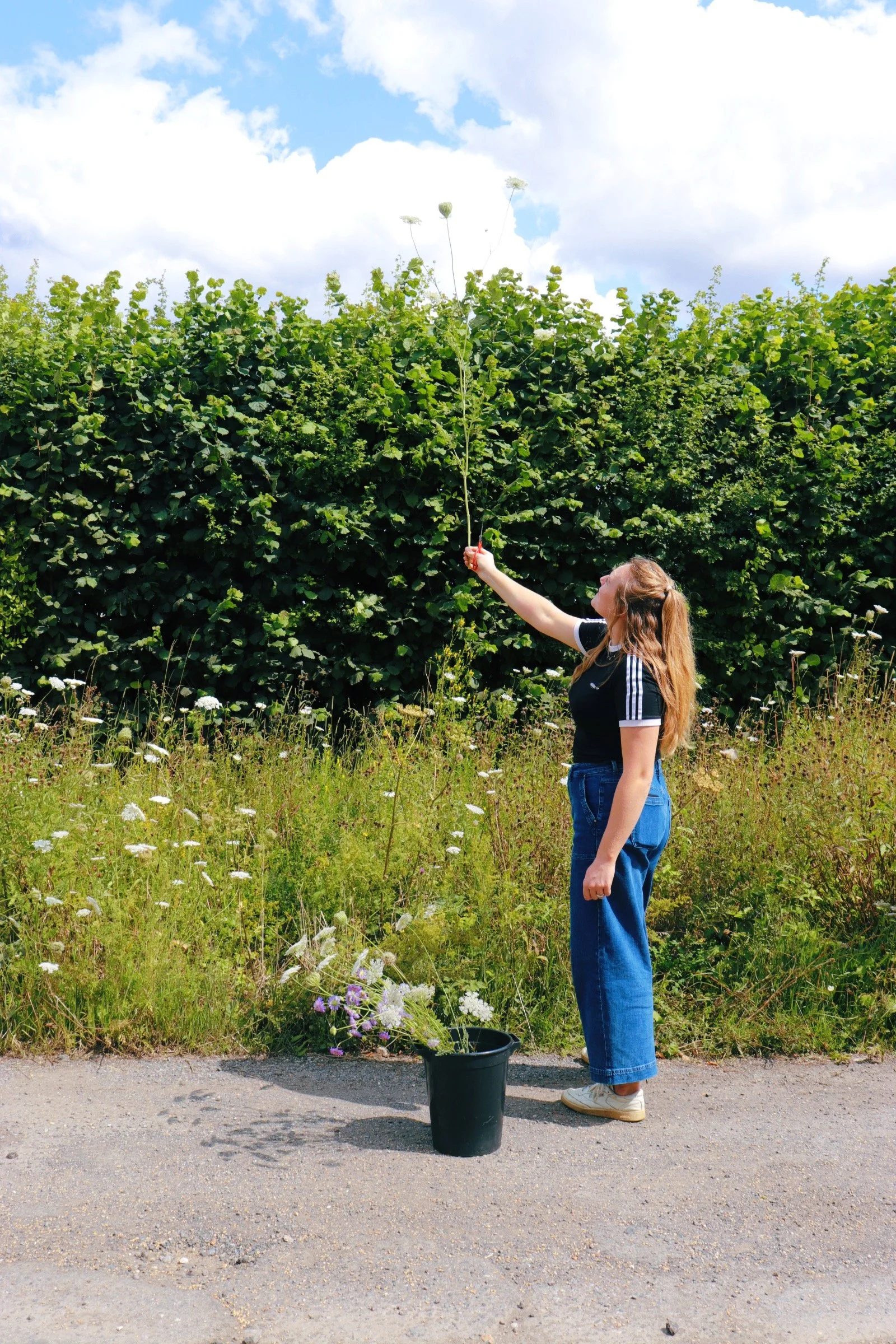 DFB8F5D9-7AAB-4CCD-9DF9-58D3B431A707 copy.JPG