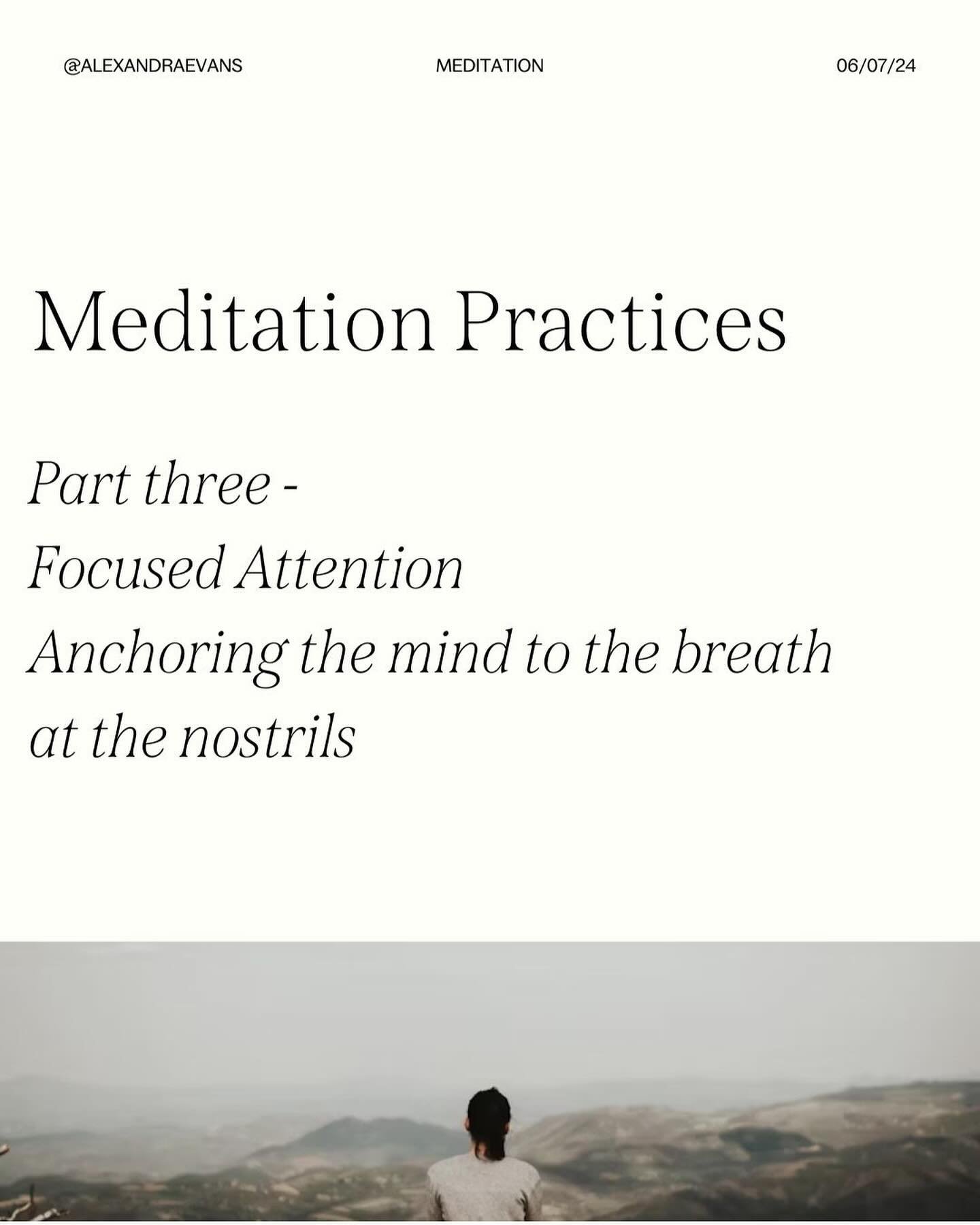 Coming back to what seems like the basics today. Yes to hold the focus in a small surface area is an advanced practice and the start of Vipassana training. See how you go, and go gently with this. #meditation #yoga #meditationpractice #vipassana #min