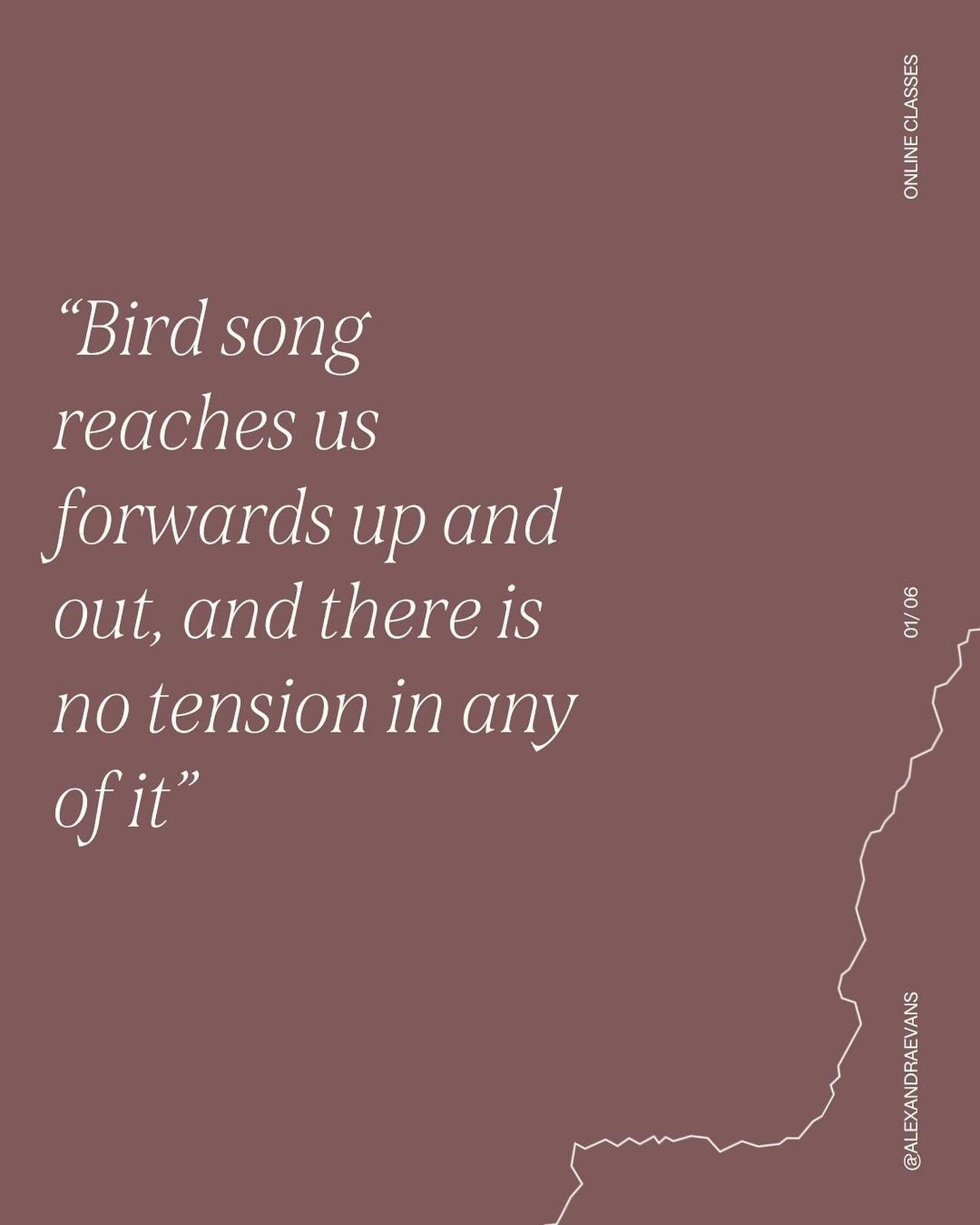 &ldquo;Bird song reaches us forwards up and out, and there is no tension in any of it.&rdquo; A great quote from Simon Furness and it&rsquo;s true, and it is so very beautiful as for me it&rsquo;s a reminder of how beautiful things can be when we jus