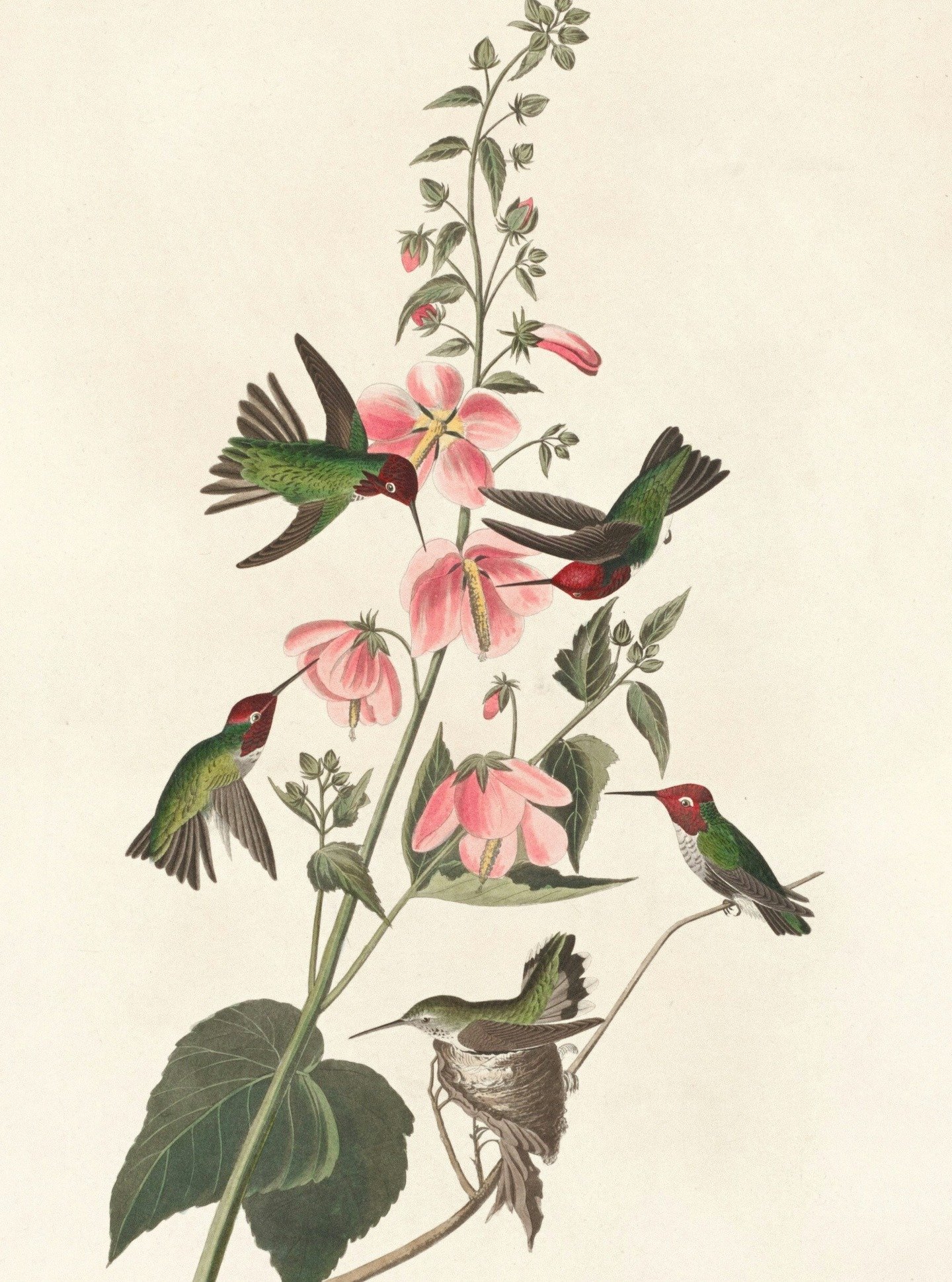 Life yields its becoming call.

Tomorrow things may well begin to gear up again, yet we are still in mid-winter, a time when rest is still really important and deeply nourishing.

The start of a new year often invites reflection, dreaming and imagini