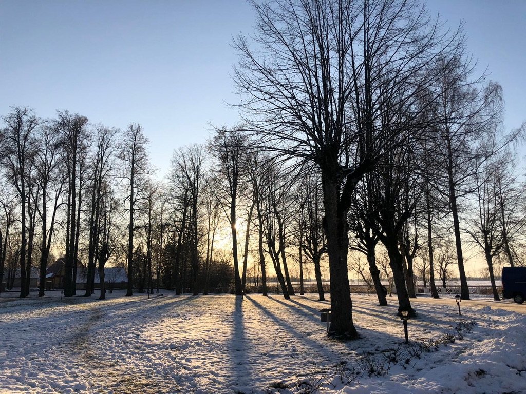 Winter Workshop: Rest, Regulate &amp; Renew — Skylight Centre, Highbury N5 1JT