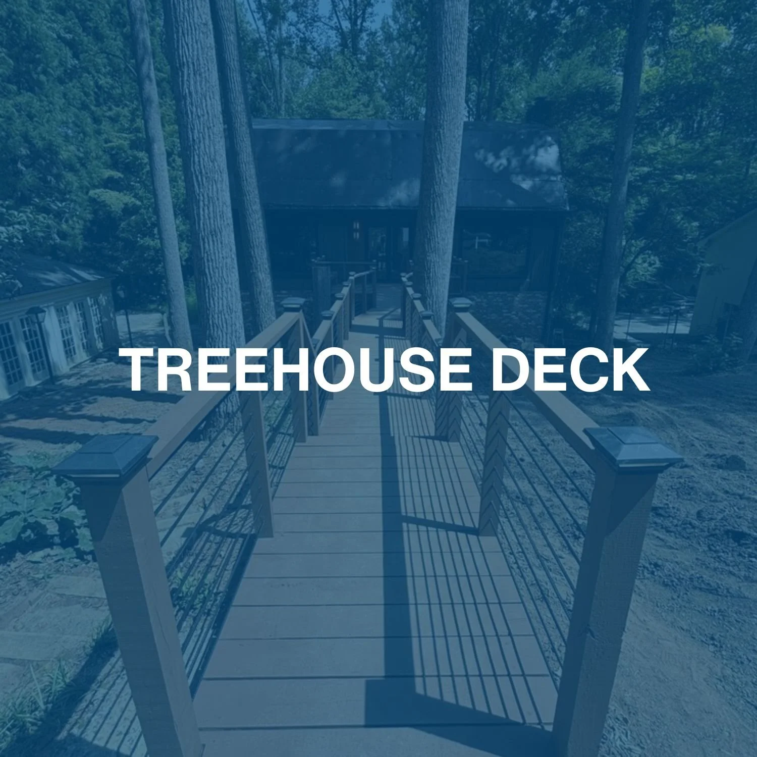 Tree House Deck